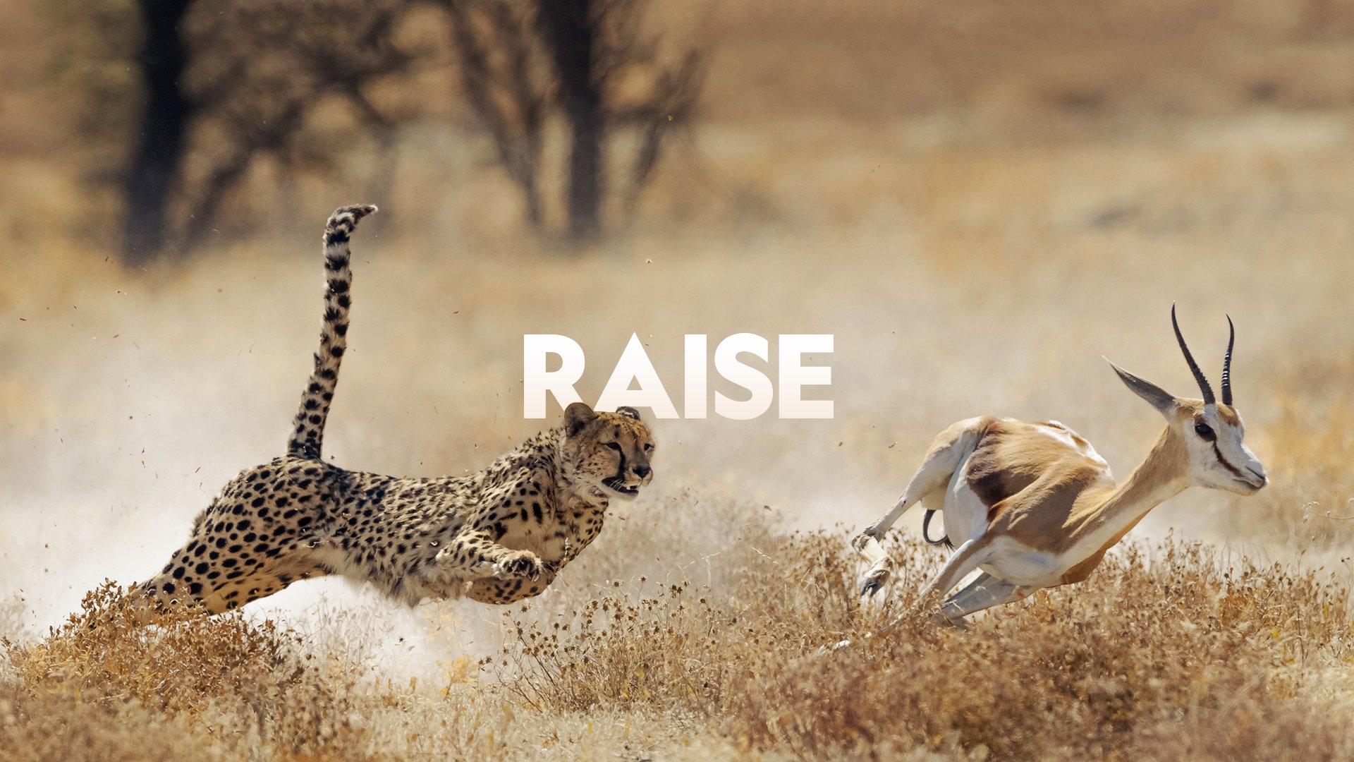 Raise.jpg