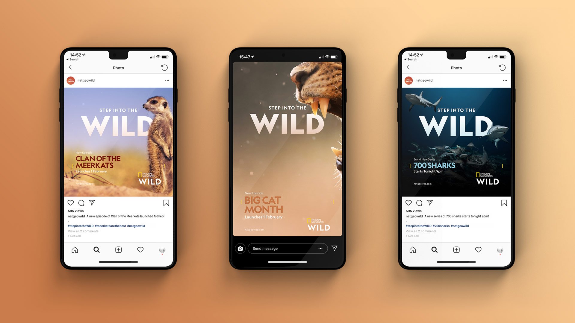MMMultiply-WildLaunchCampaign-08.jpg