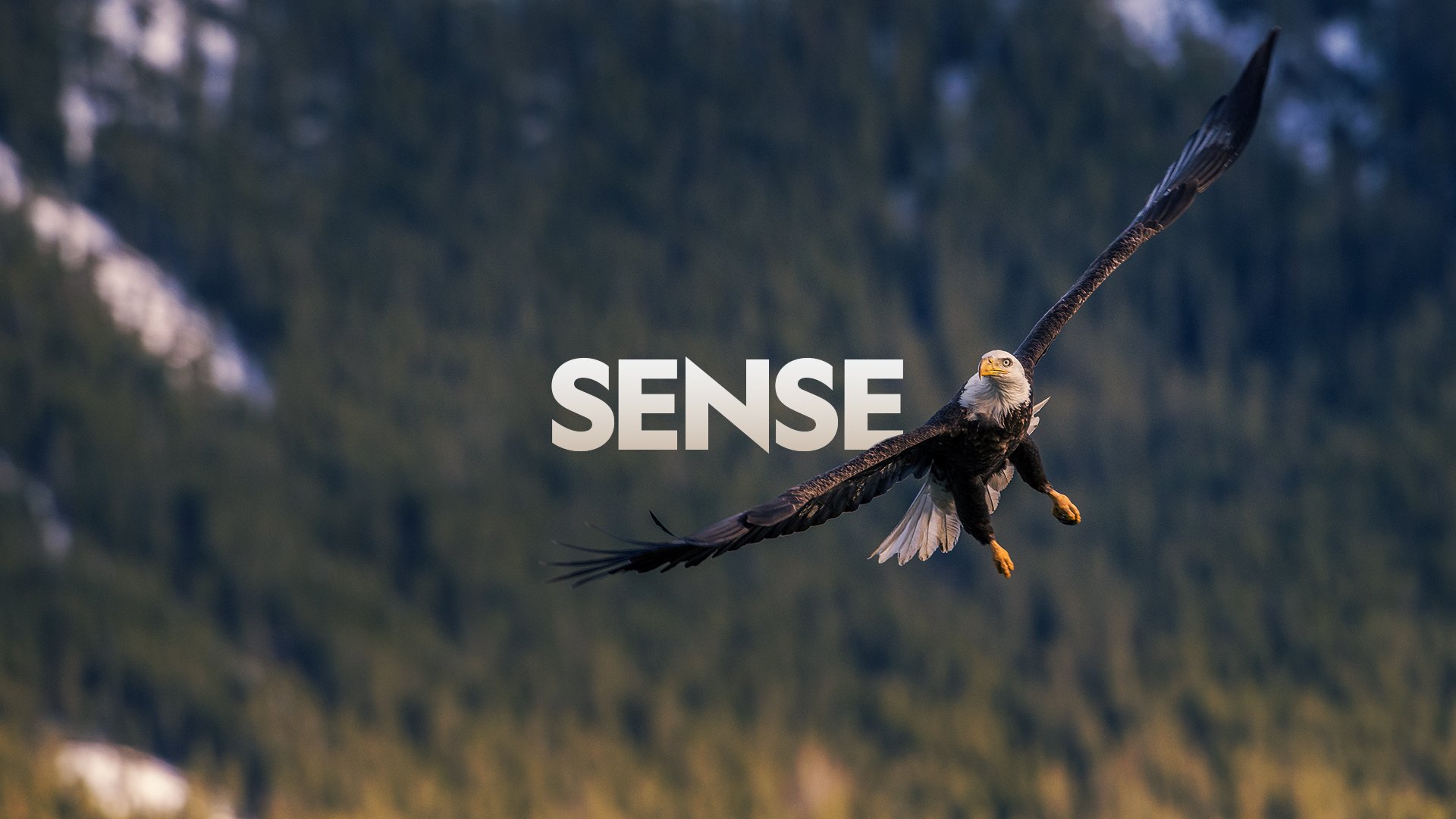 Sense.jpg