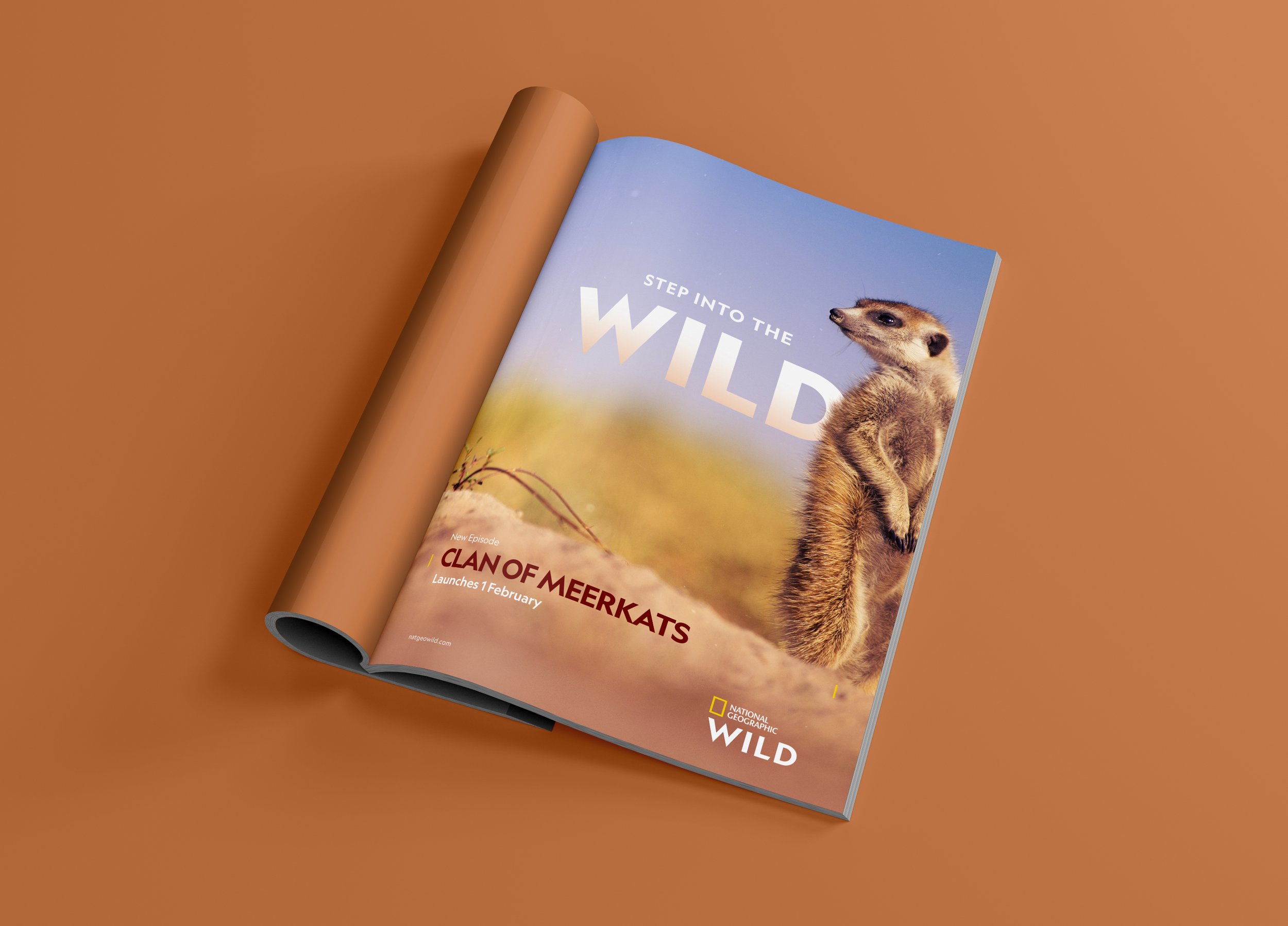 Wild_Campaign_Magazine_ClanoftheMeerkats.jpg