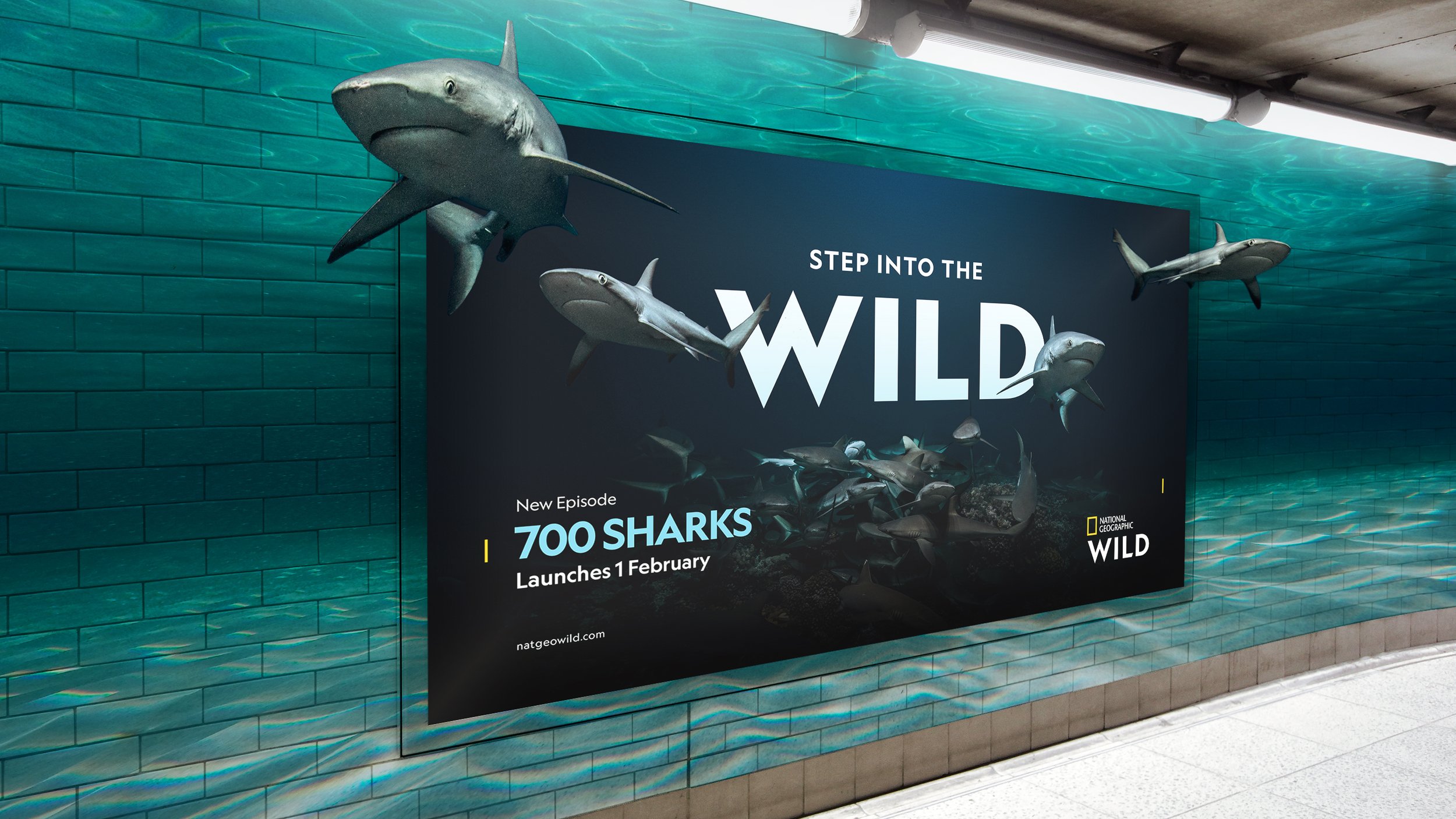 WILD_LaunchCampaign_DOOH_700Sharks_Insitu.jpg