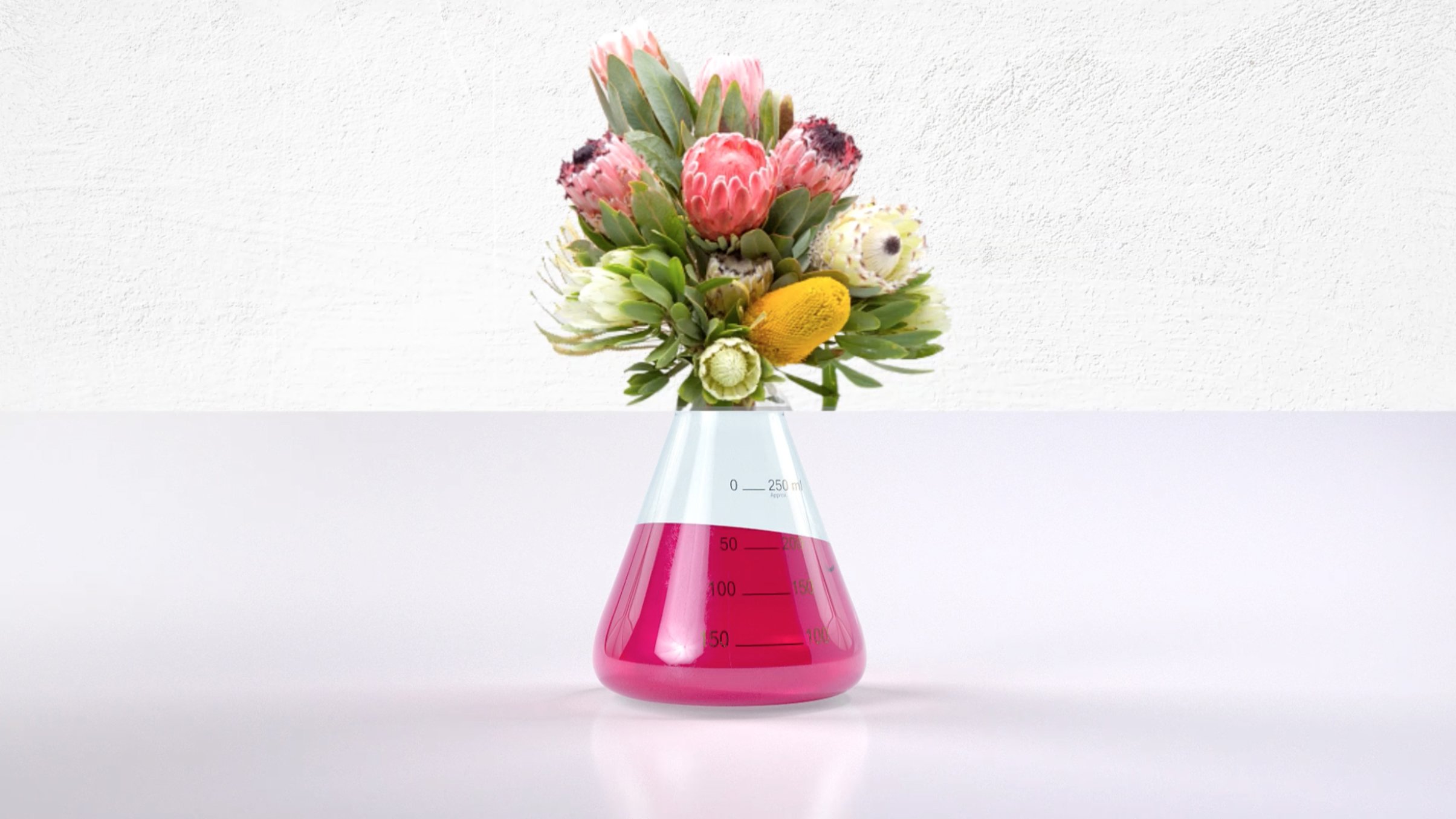 BBC_Lifestyle_Bumper_ID1_WheelFlask_04.jpg