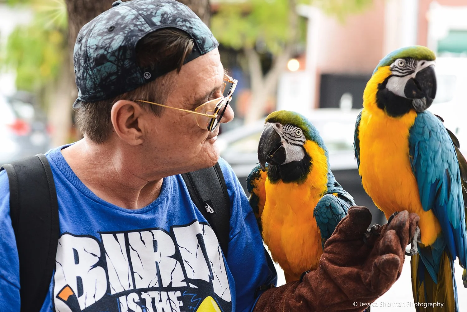 BirdMan-1-Jessica-Sherman-WEB.jpg