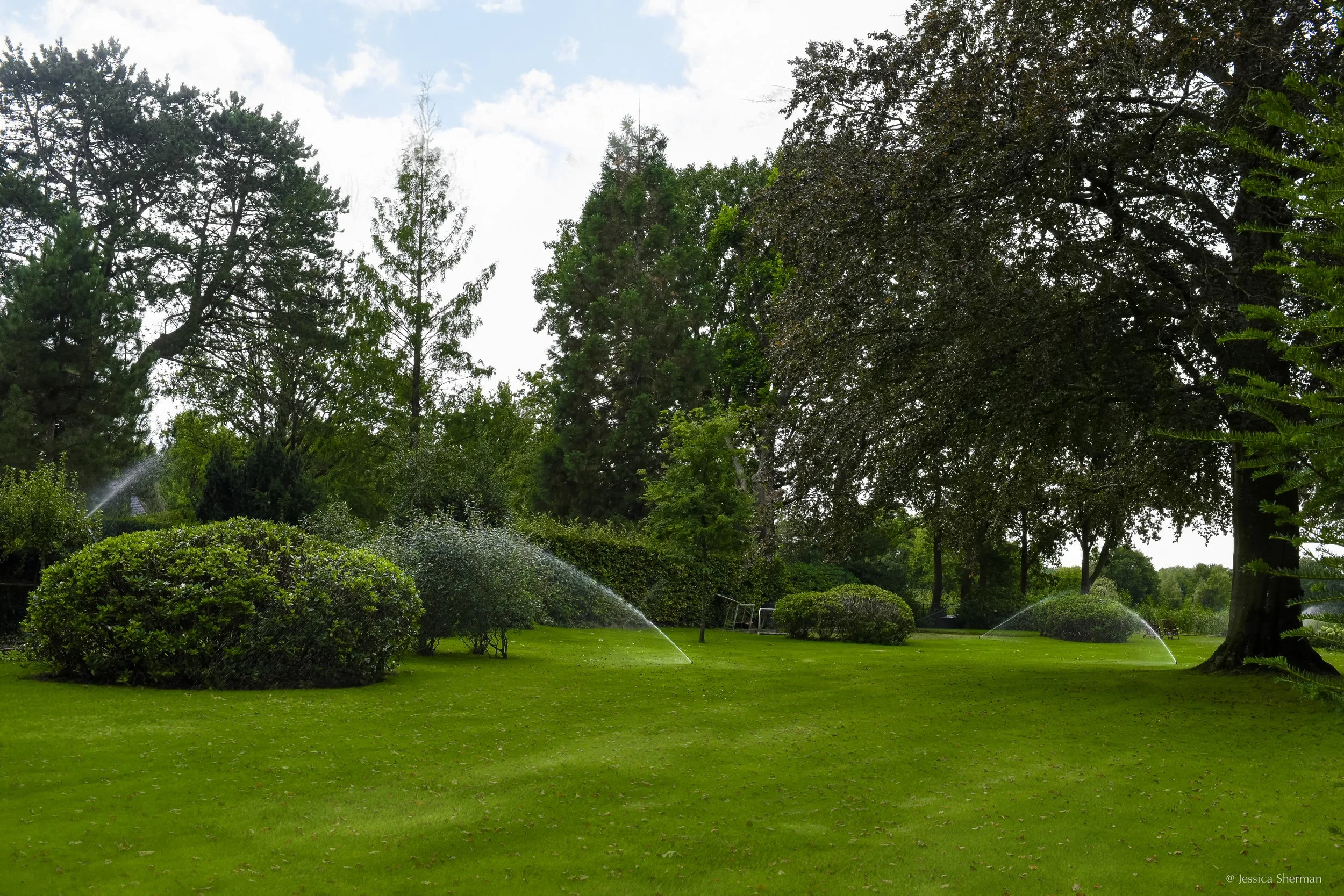 DSC_7377-2.jpg