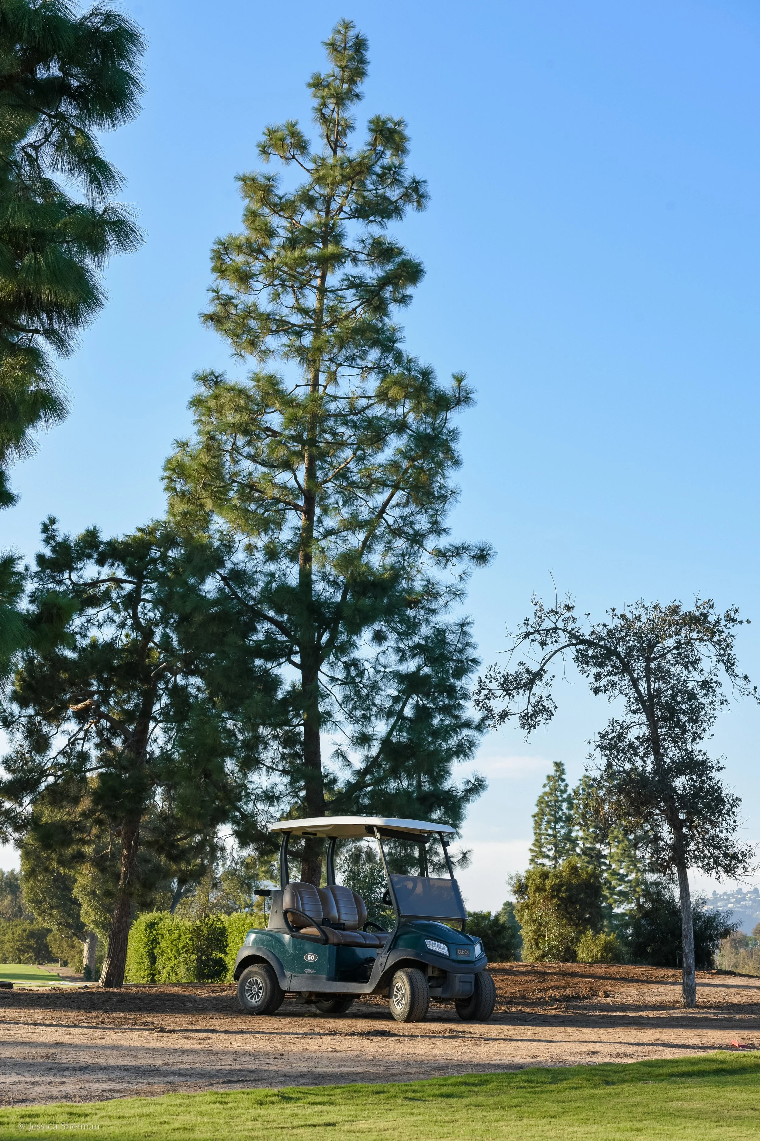 DSC_1710.jpg