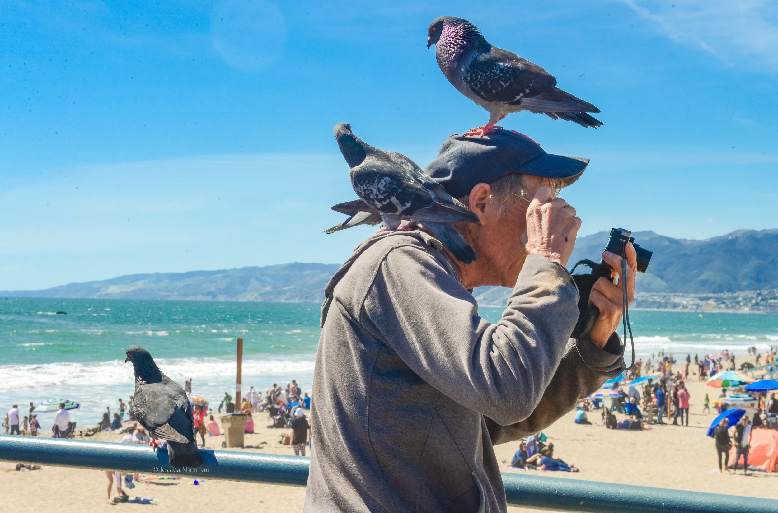 Balance-the-Birds-4999.jpg