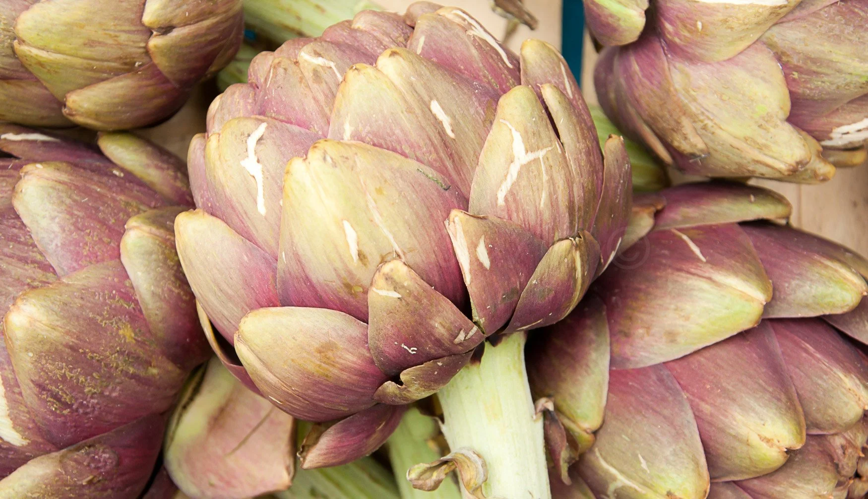 LA Brown Website-45.jpg