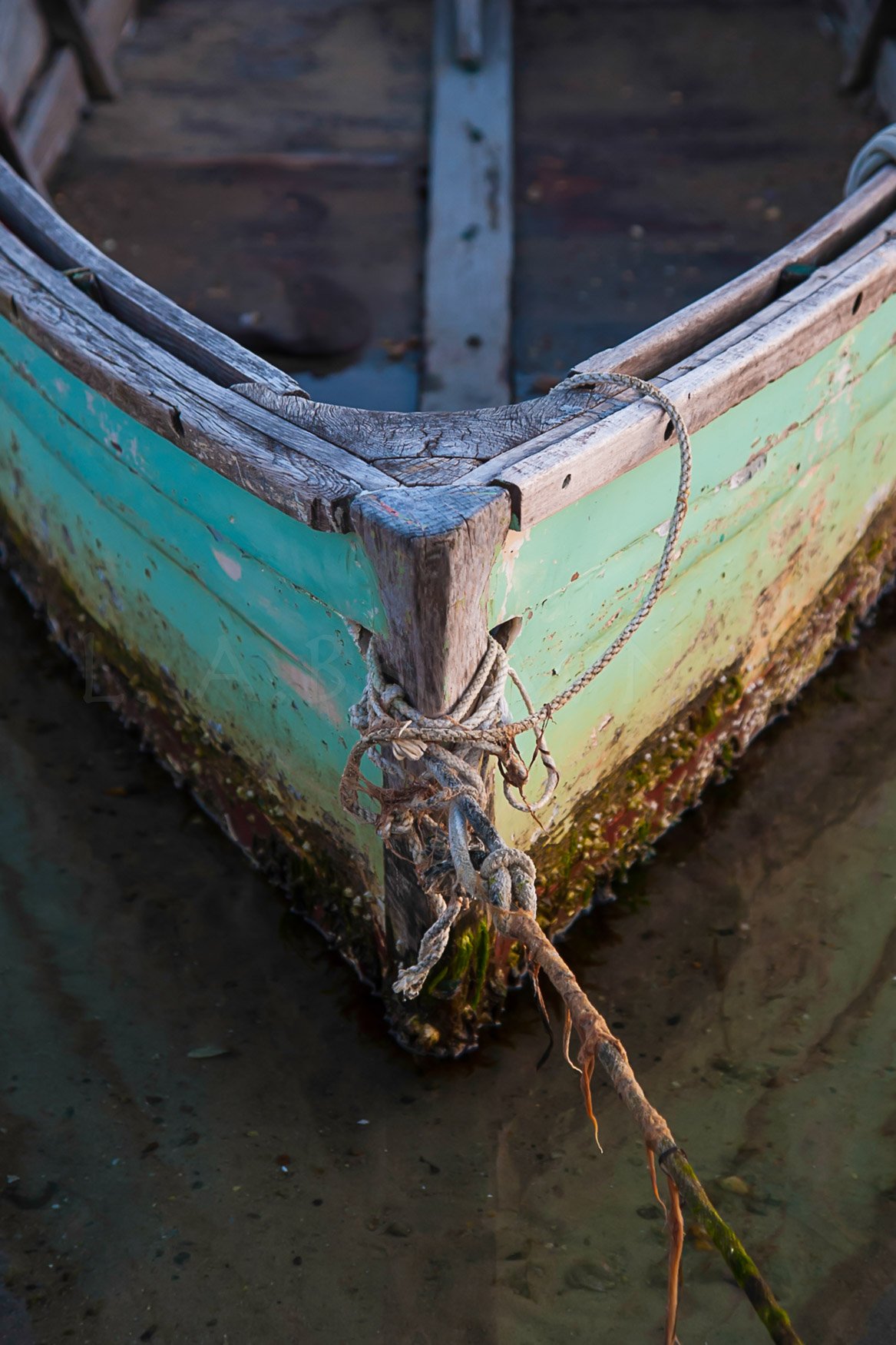 LA Brown Website-57.jpg