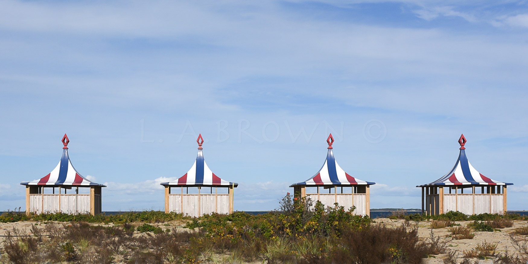 LA Brown Website-25.jpg