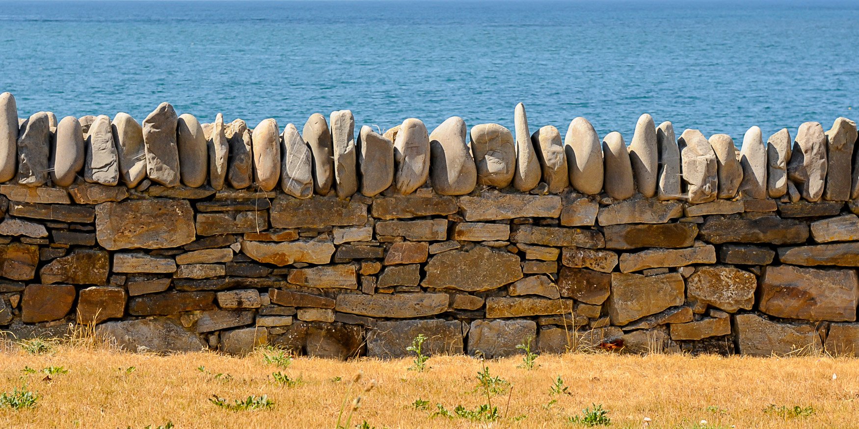 LA Brown Website-28.jpg