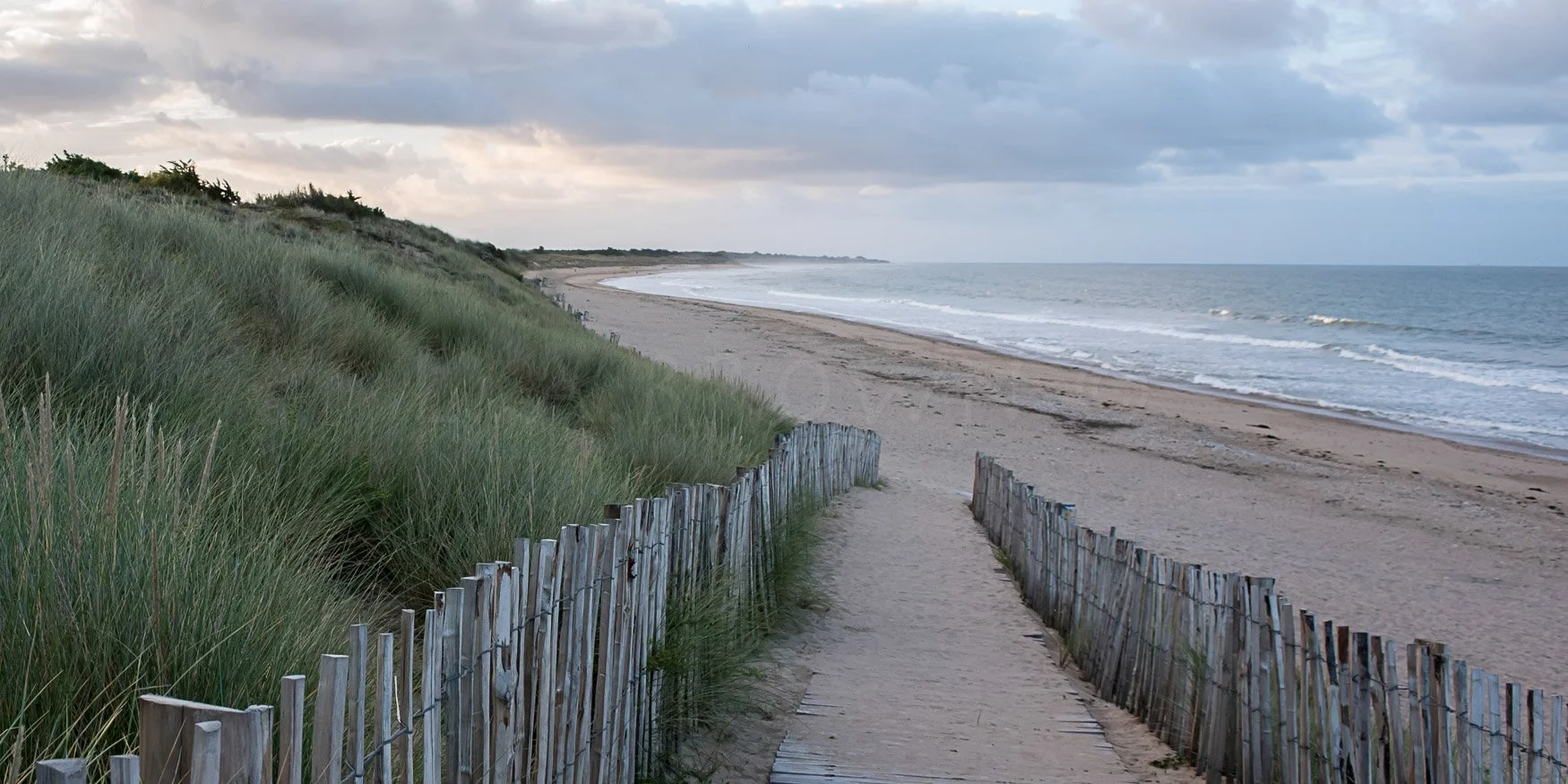 LA Brown Website-68.jpg