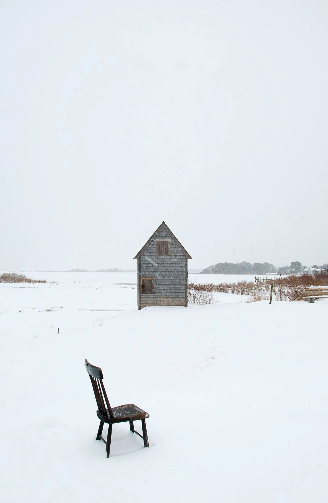 LA Brown Website-08.jpg