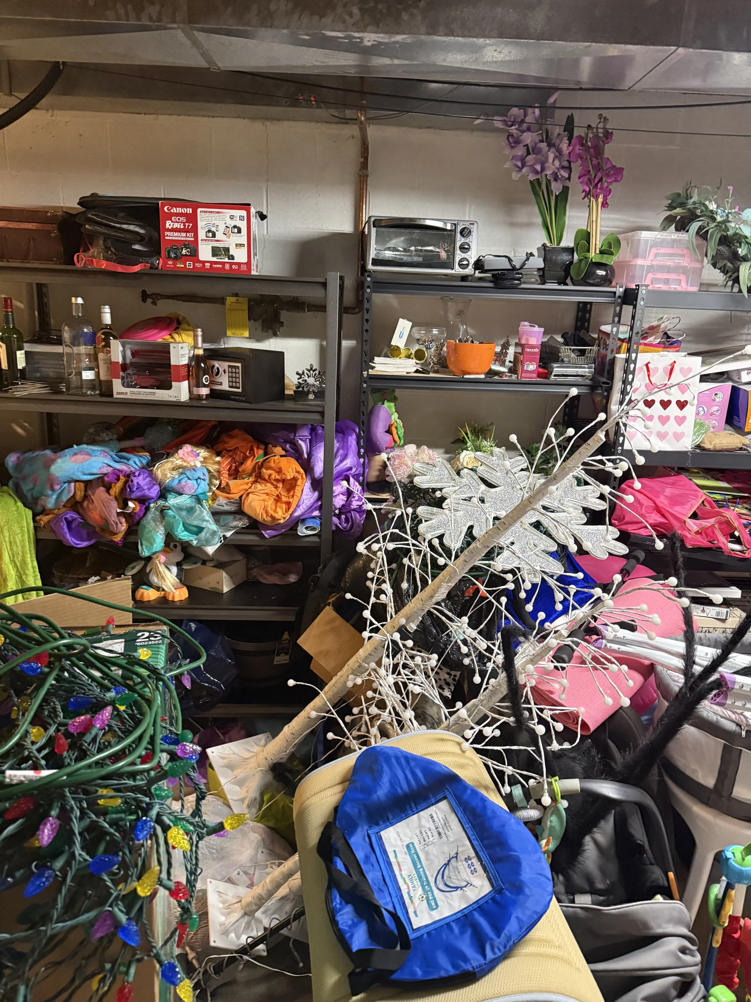 BASEMENT STORAGE - BEFORE