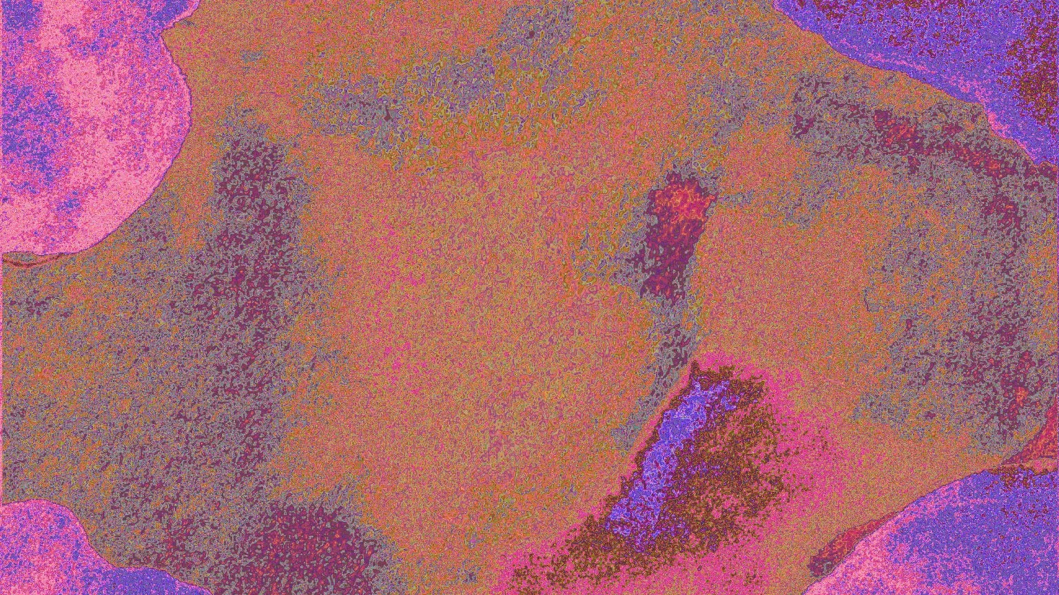 Web-Shop Front Design 2024