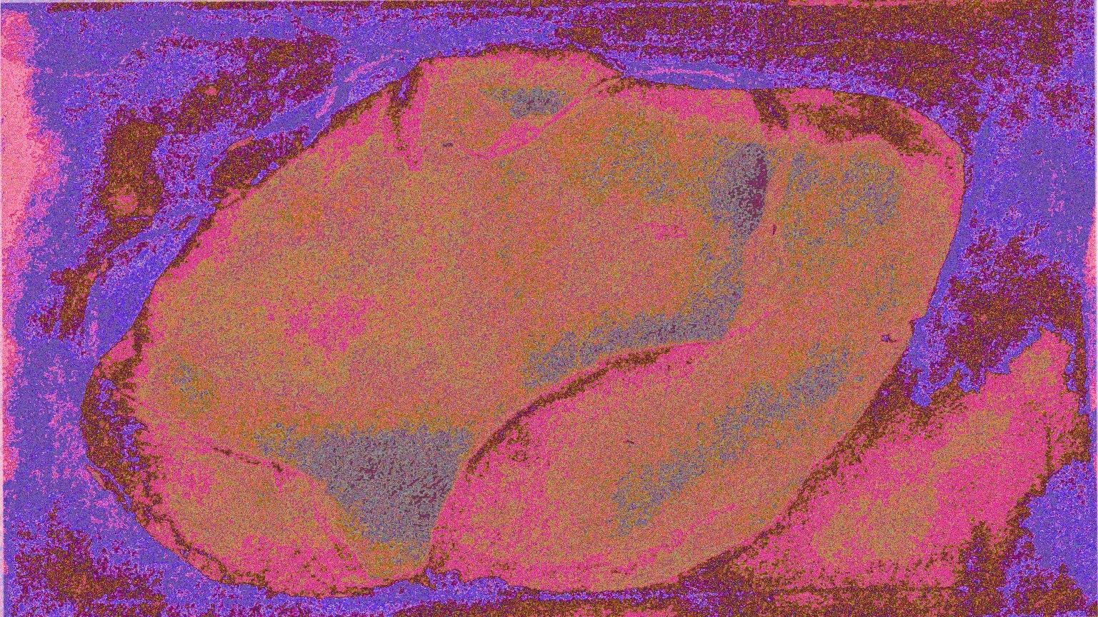 Nationality Generator App