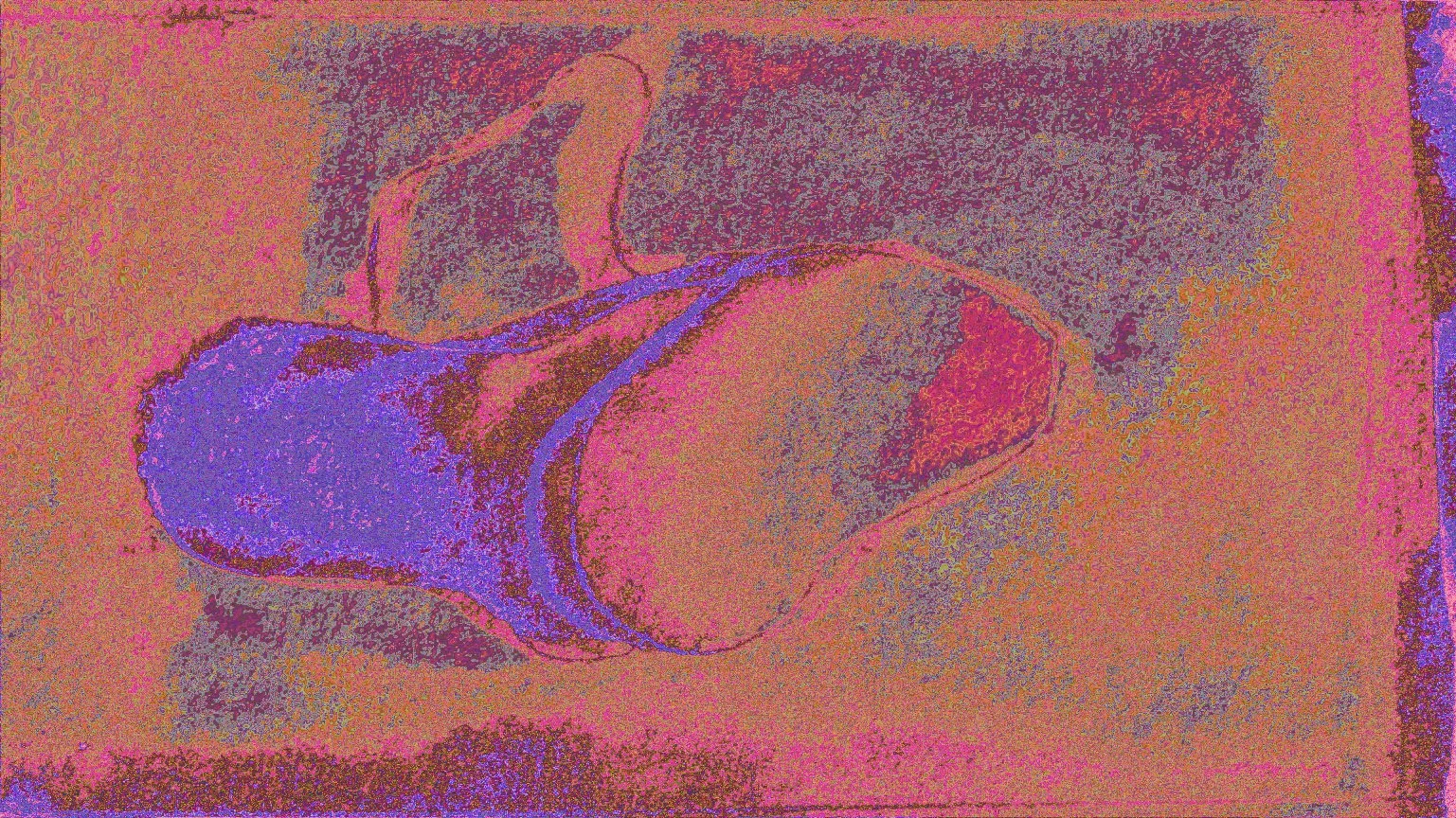 UWSU Product Design Project