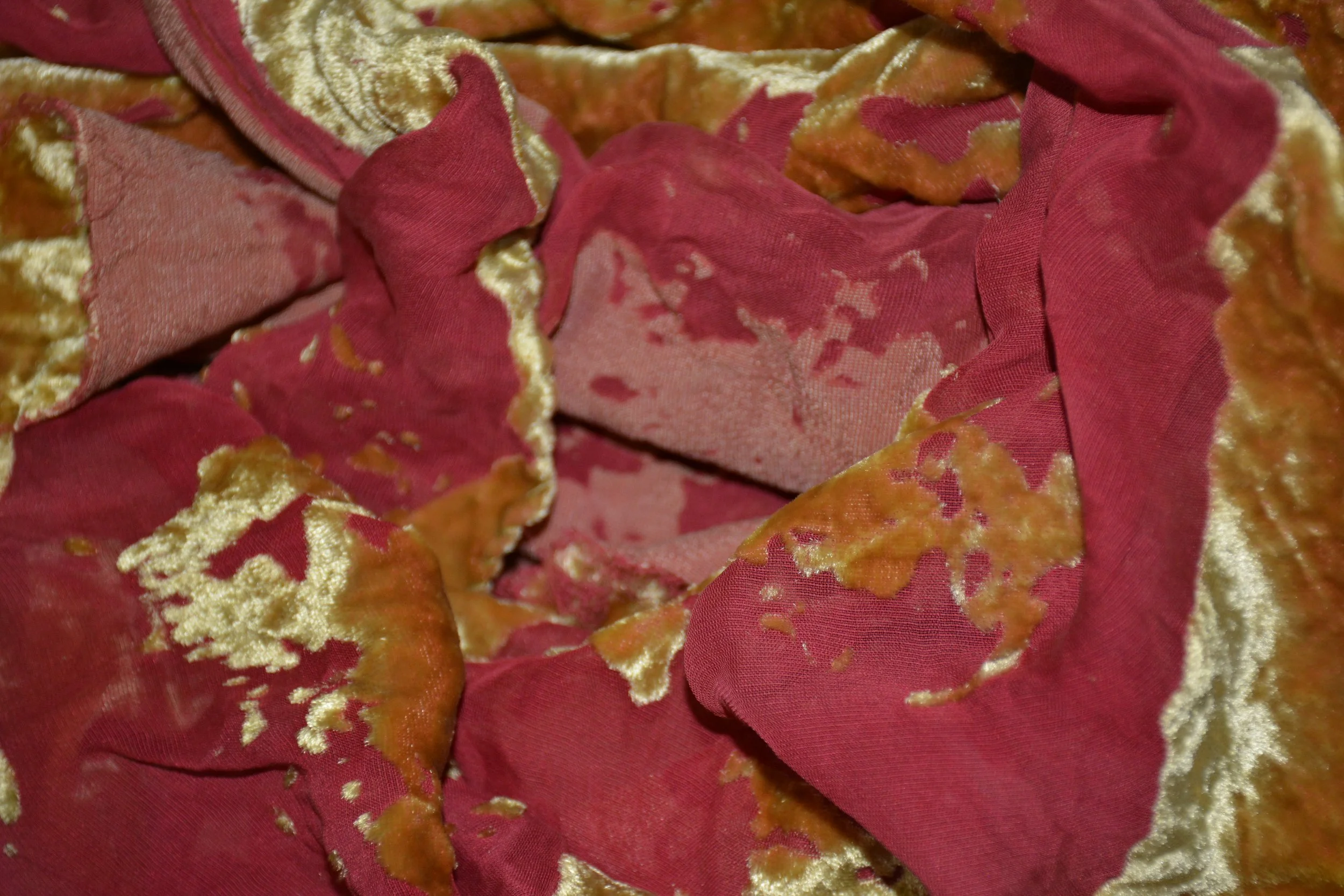 Devore Scrunched close up.JPG