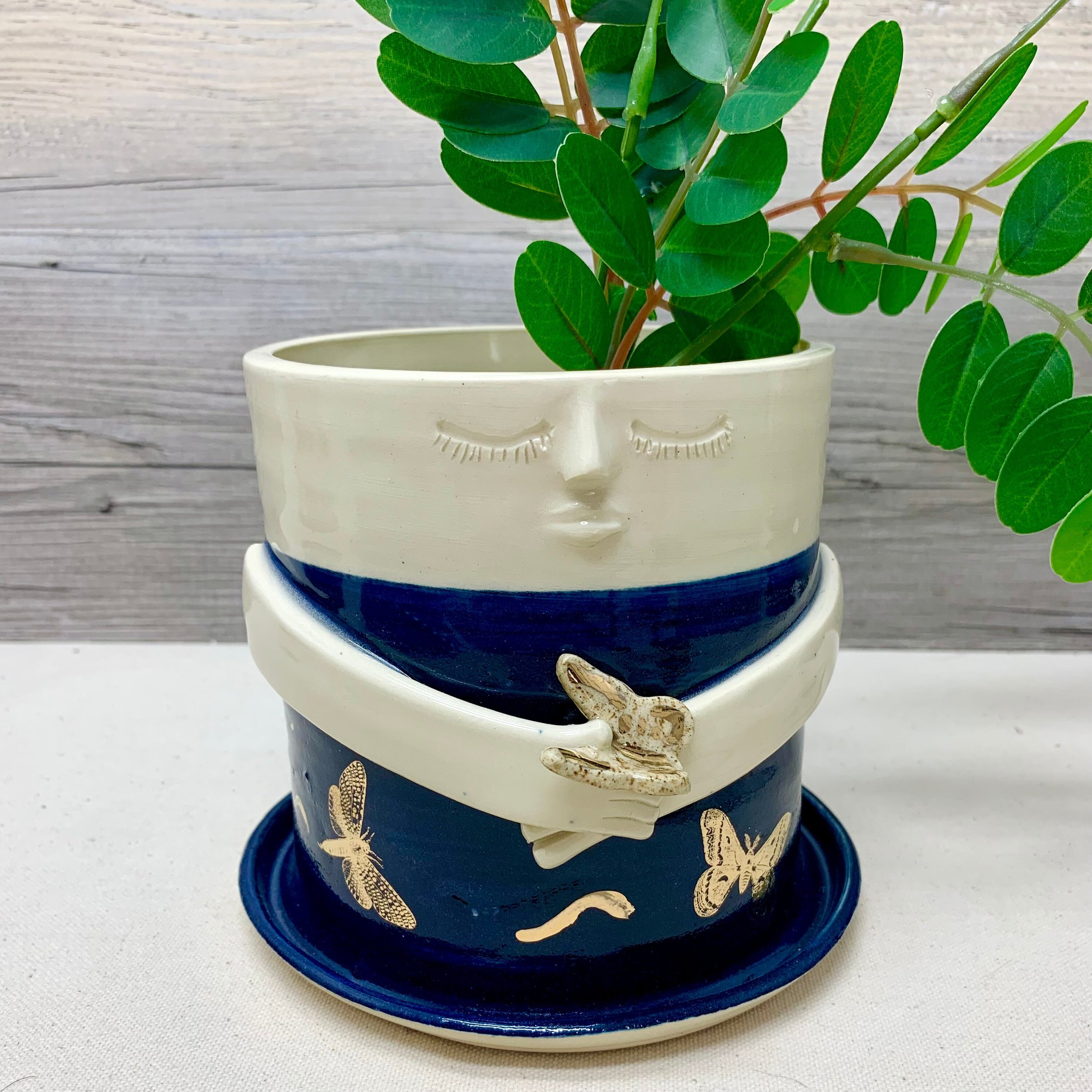 https://i.etsystatic.com/21435217/r/il/78d492/3884382067/il_fullxfull.3884382067_b98e.jpg