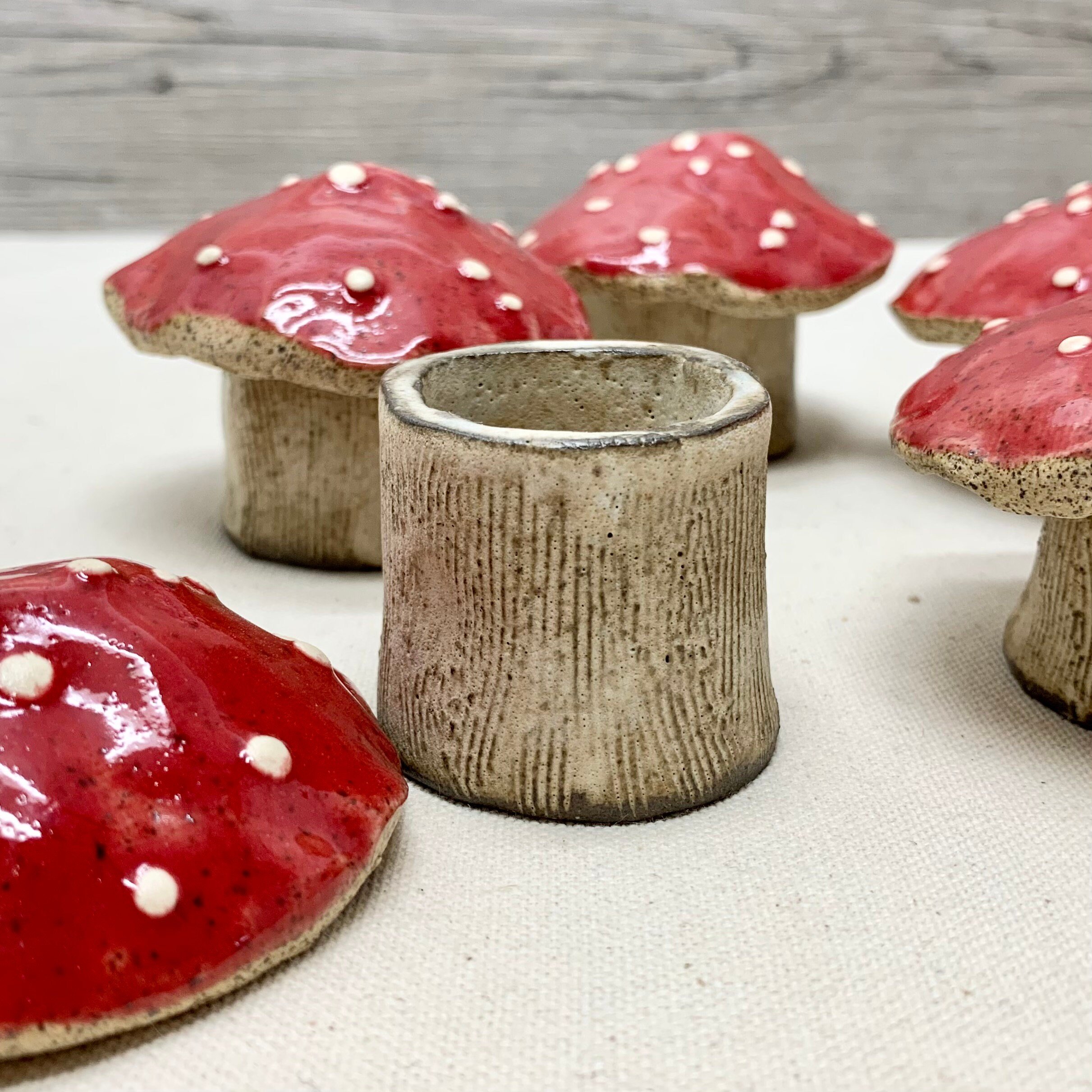 https://i.etsystatic.com/21435217/r/il/a9e69a/3819996613/il_fullxfull.3819996613_m2x3.jpg