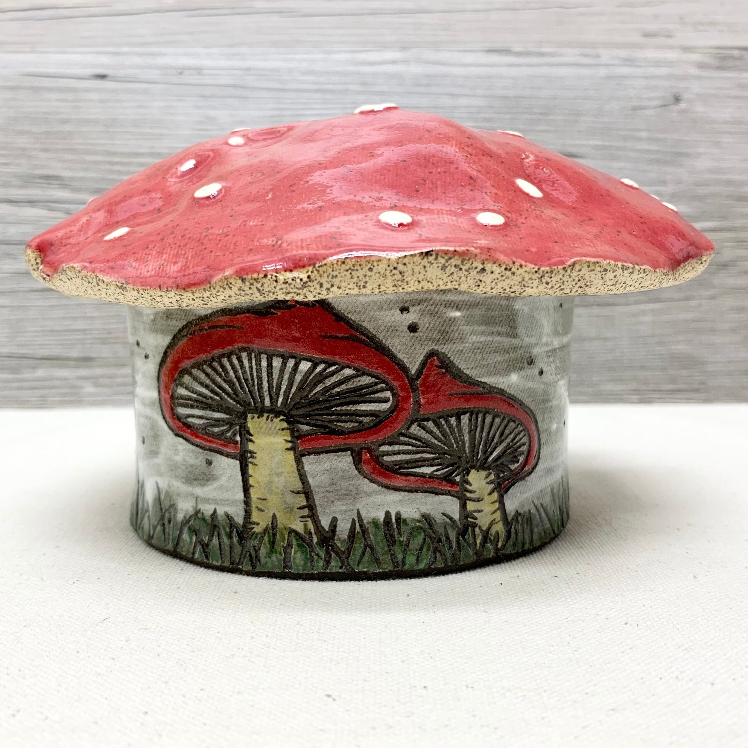 https://i.etsystatic.com/21435217/r/il/06fdc6/3772405608/il_fullxfull.3772405608_jxkh.jpg