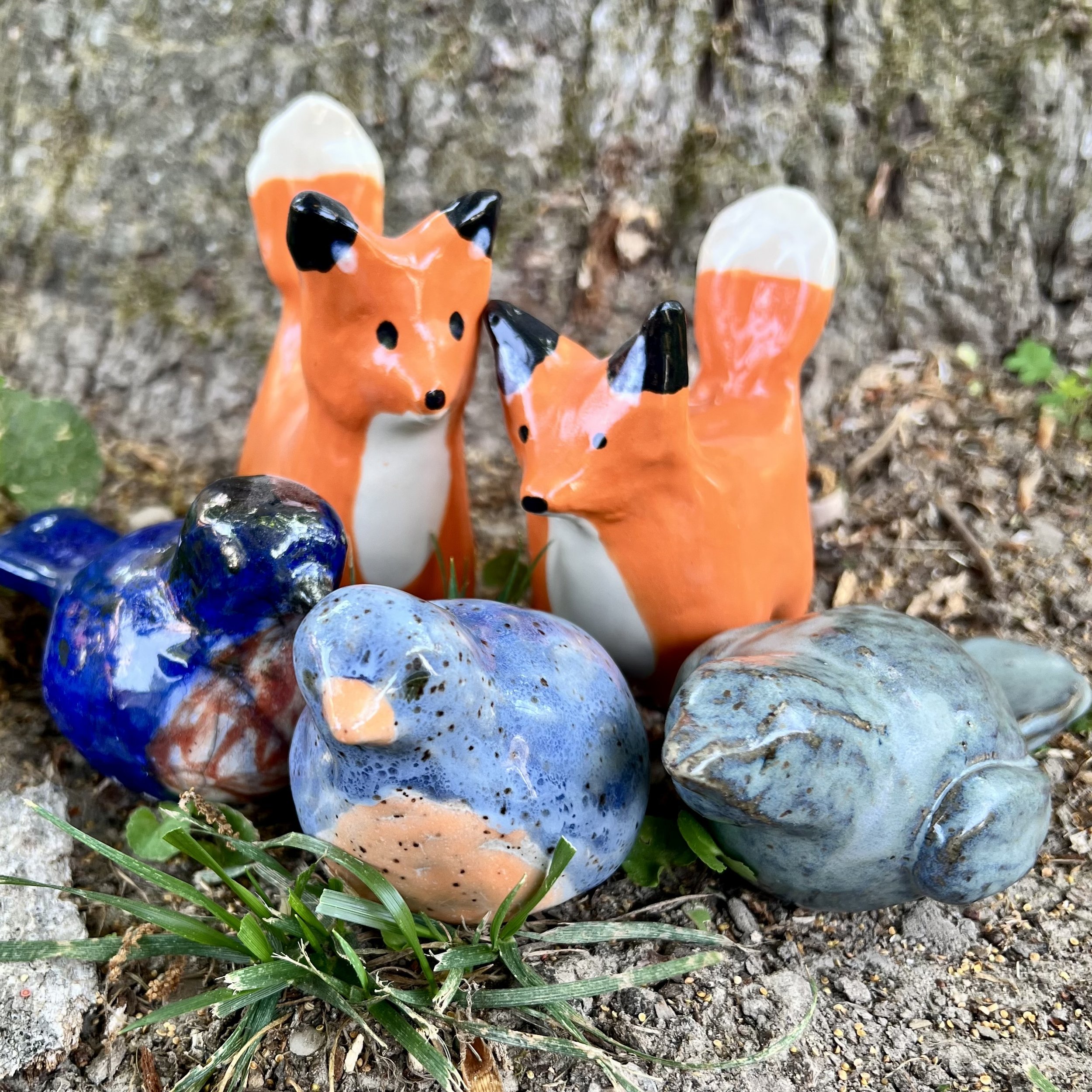 Critter Workshop