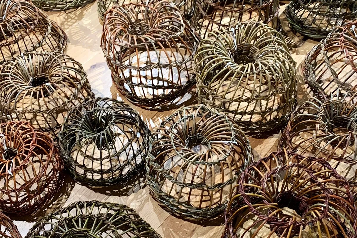 Withy Lore at The National Lobster Hatchery