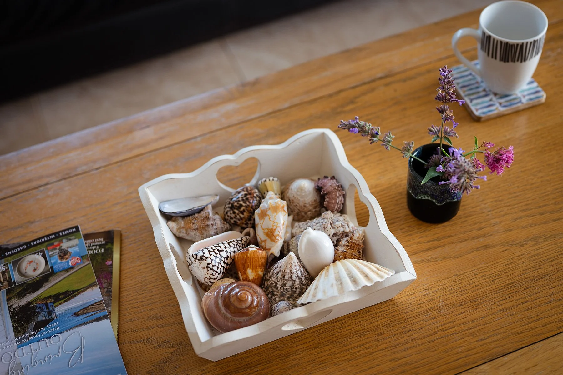 tray of exotic shells on the coffee table in sea gems
