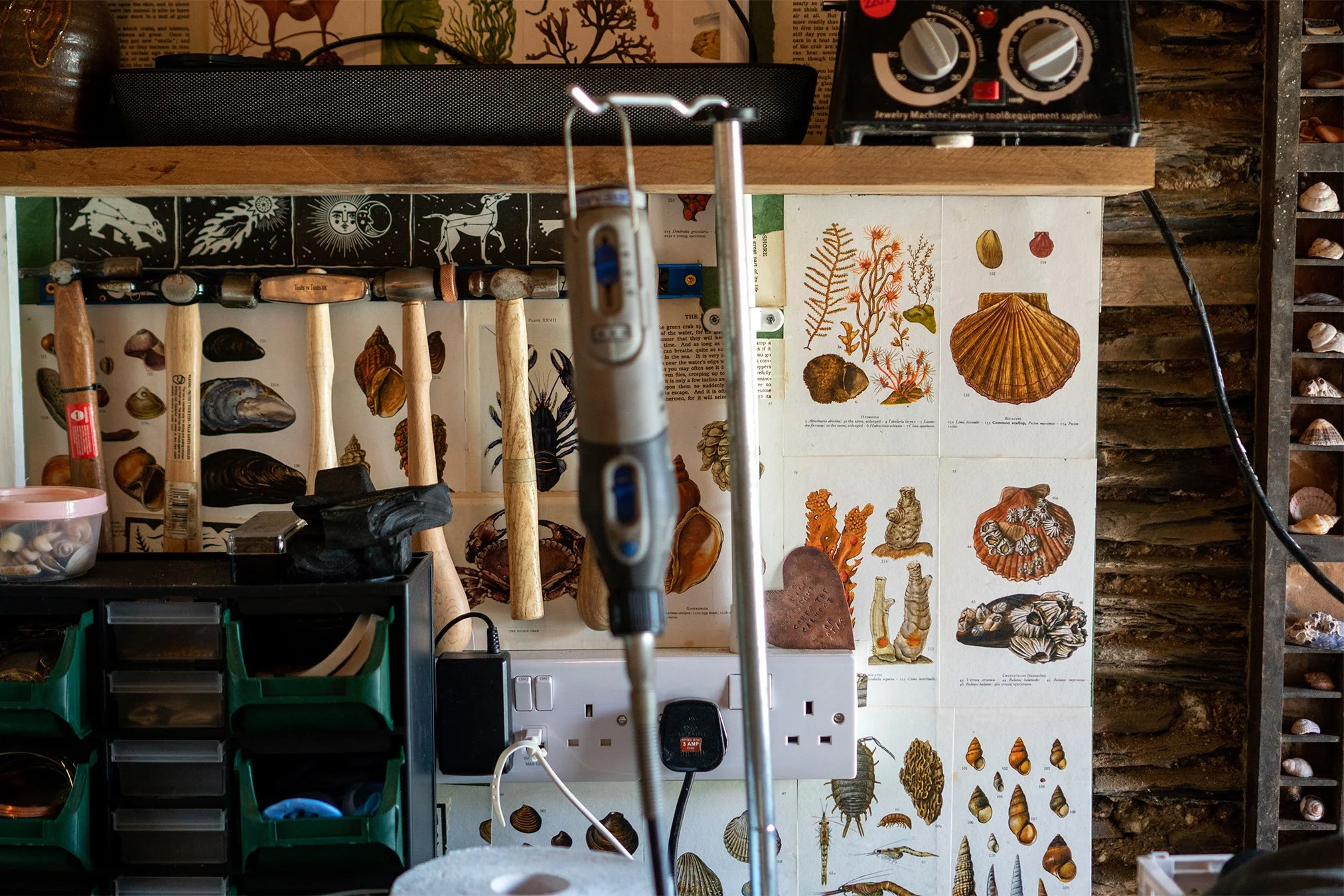 decorated wall of the workshop of artist stacey sibley