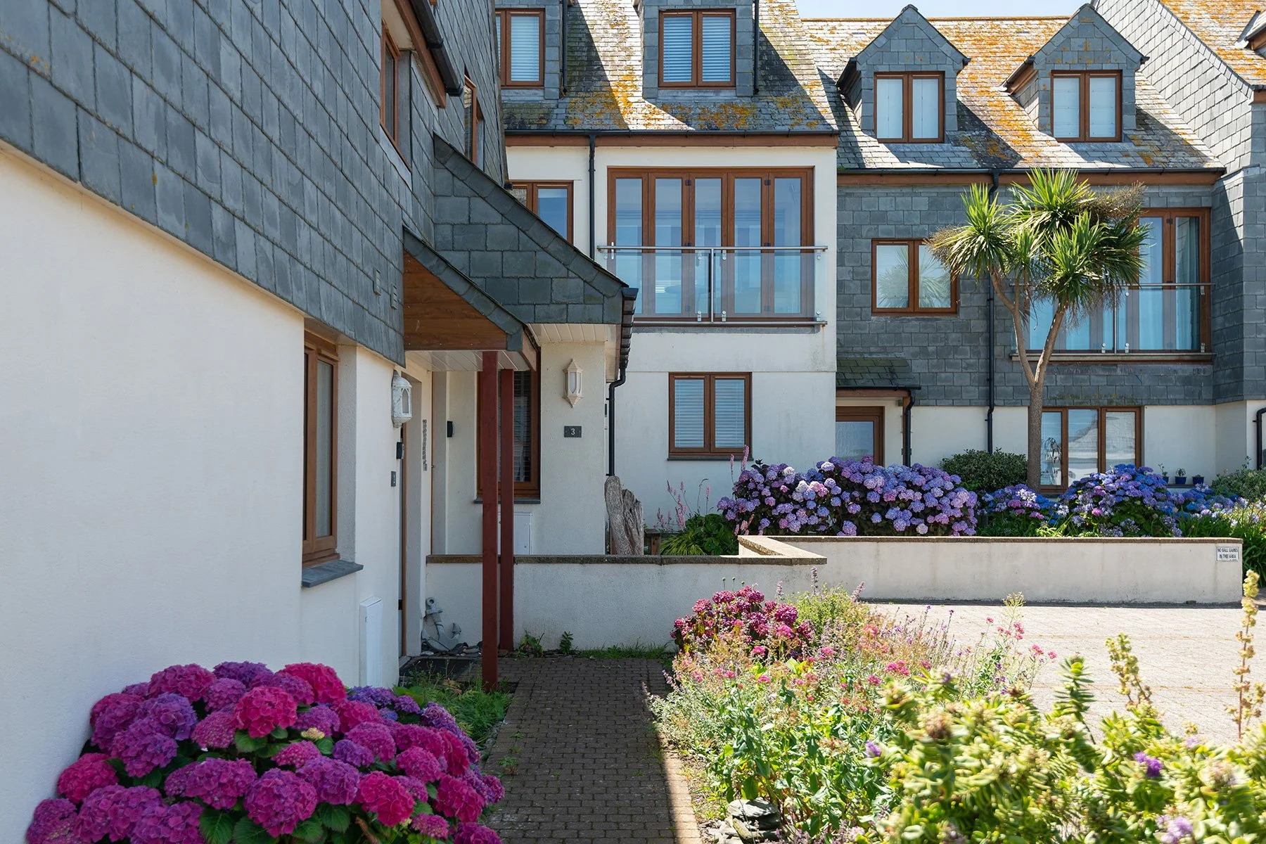 hydrangea with purple flowers in front of the entrace door to sea gems in port isaac