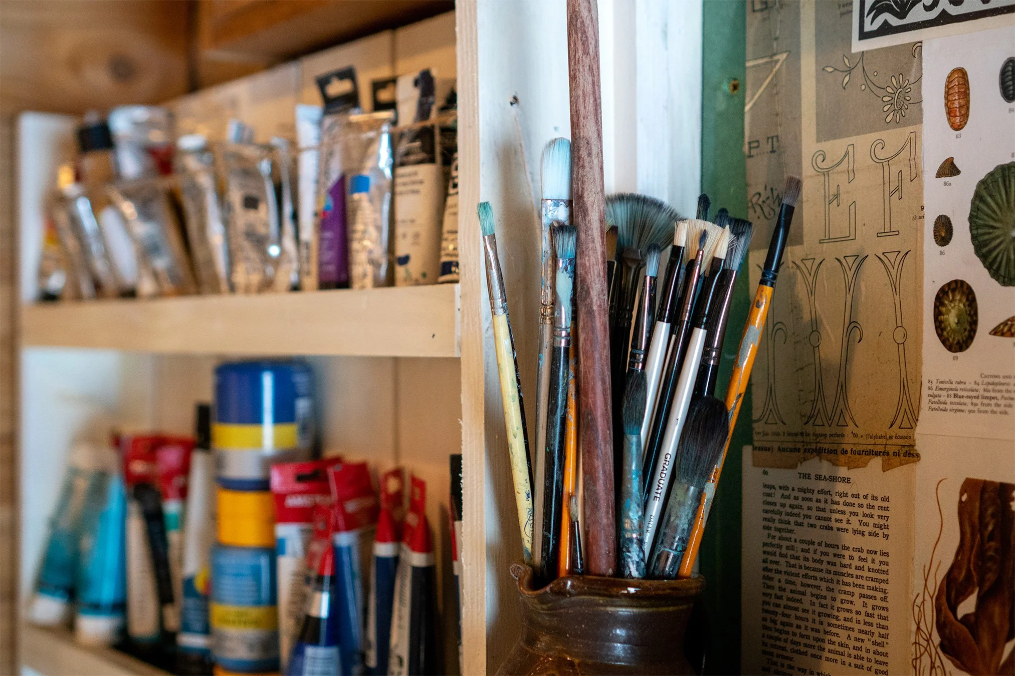 paintbrushes in the port isaac studio of artist stacey sibley