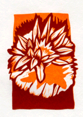 TiosFlower_augustini.gif