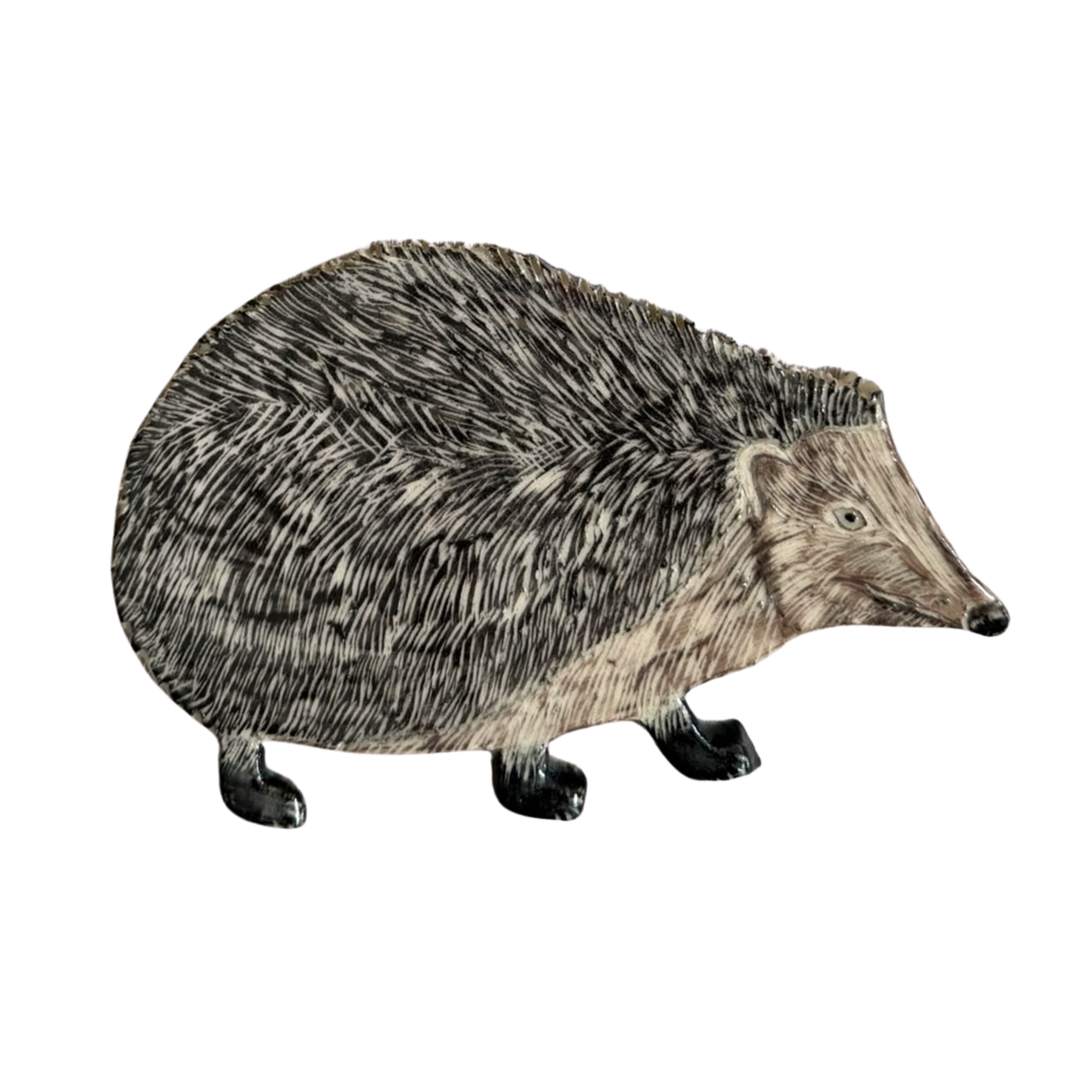 Venetia Higgins, Hedgehog, 2026.png
