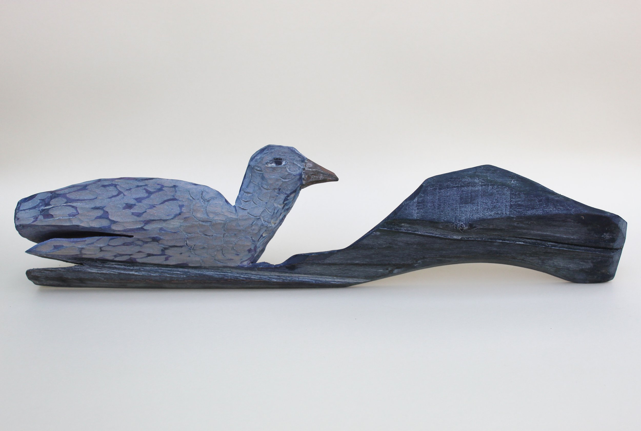 Pigeon at Night, Emma Sheehy