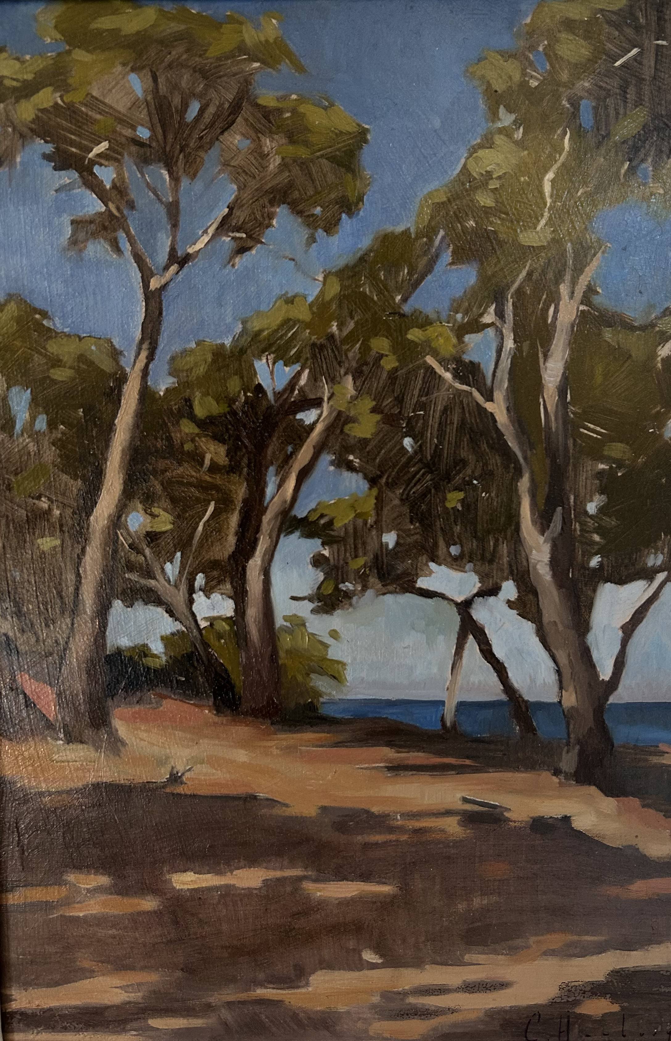 TREES AT TITO'S VILLA, CROATIA, 2023