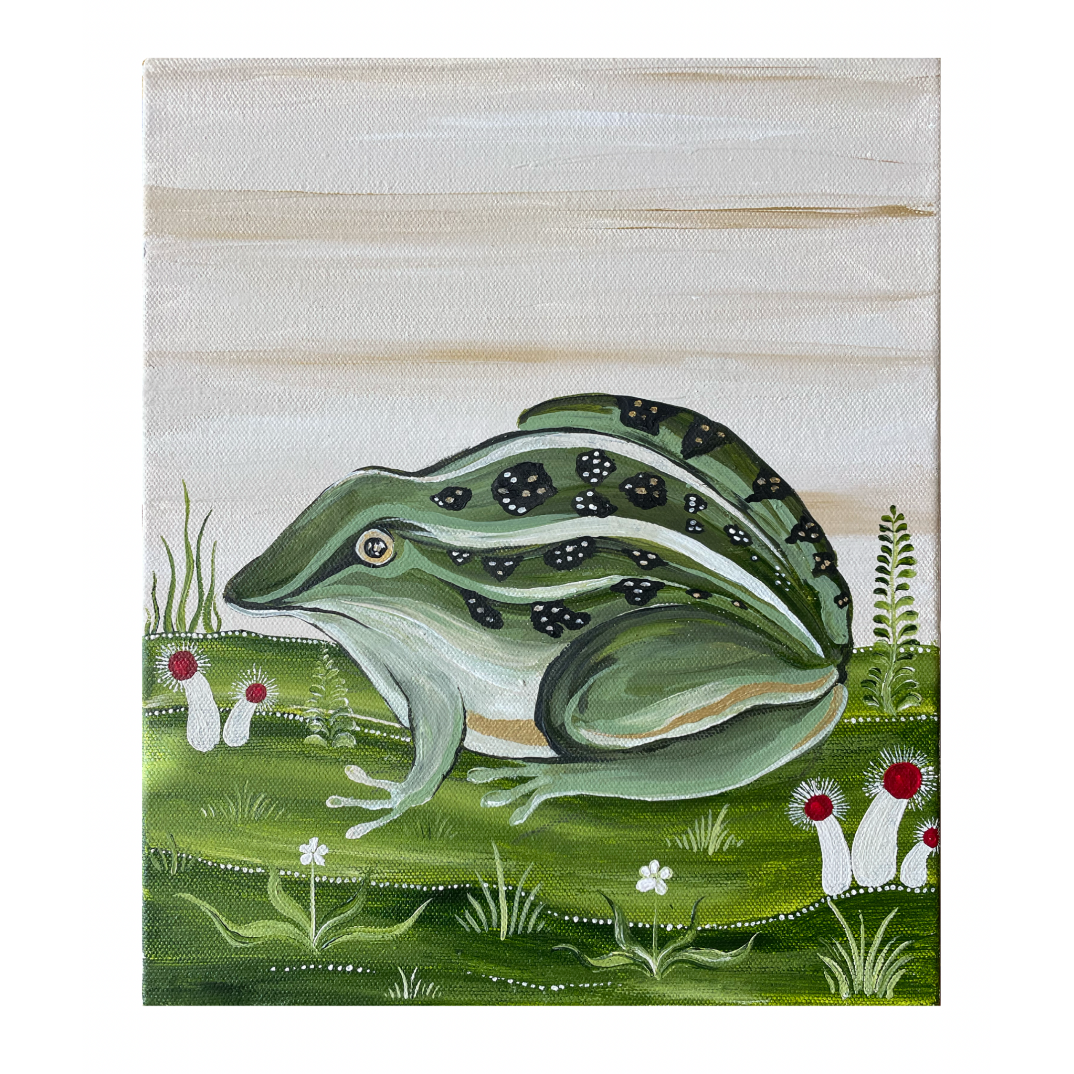 MOTTLED TOAD