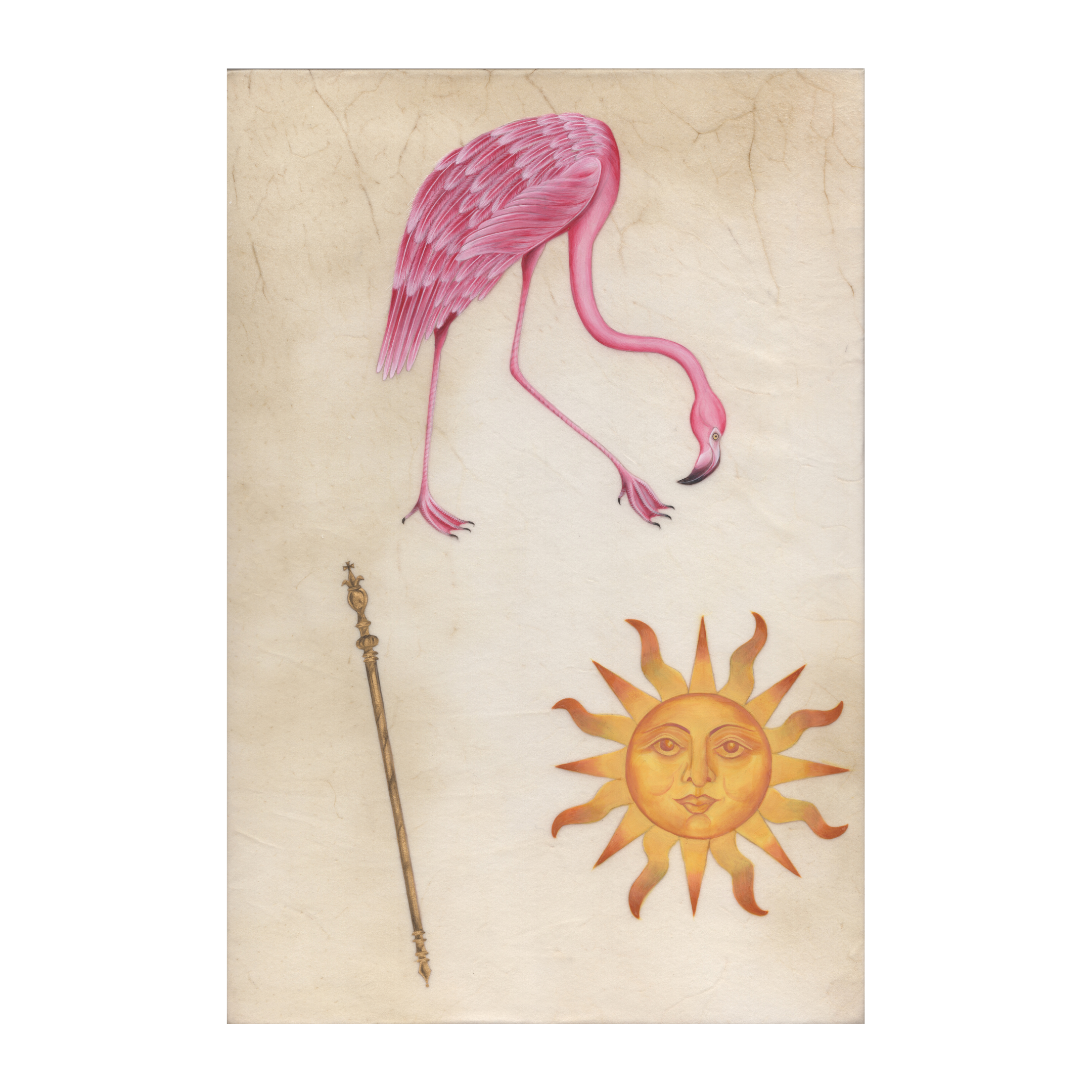 THE COMMONWEALTH FLAMINGO