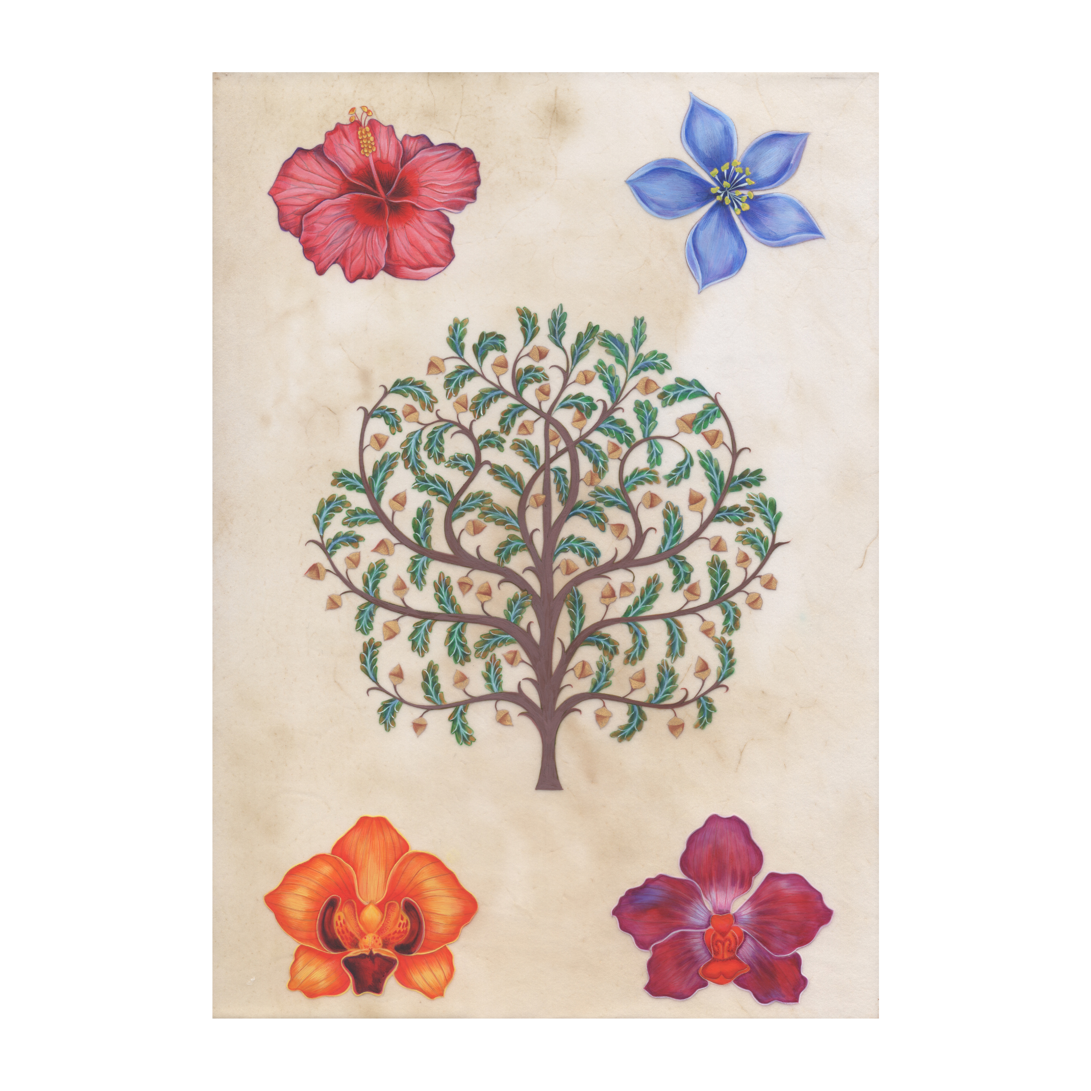 THE QUEEN CONSORT OAK TREE &amp; FLORA