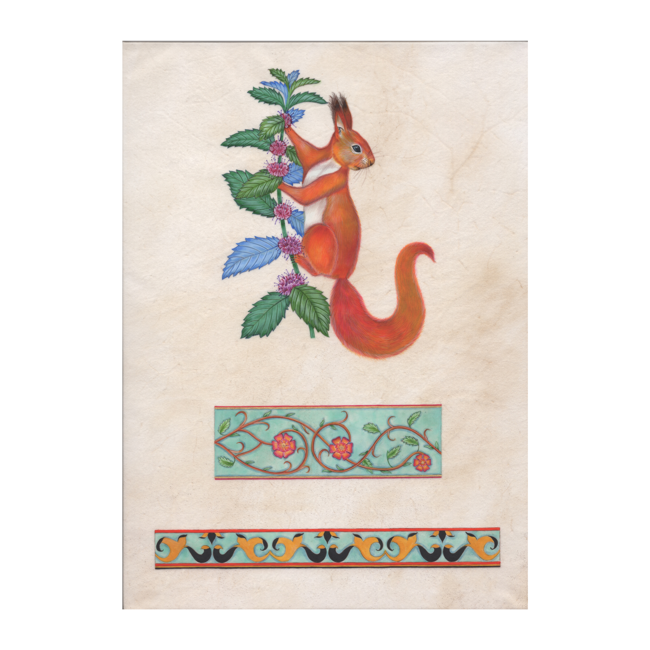 THE ENGLISH RED SQUIRREL