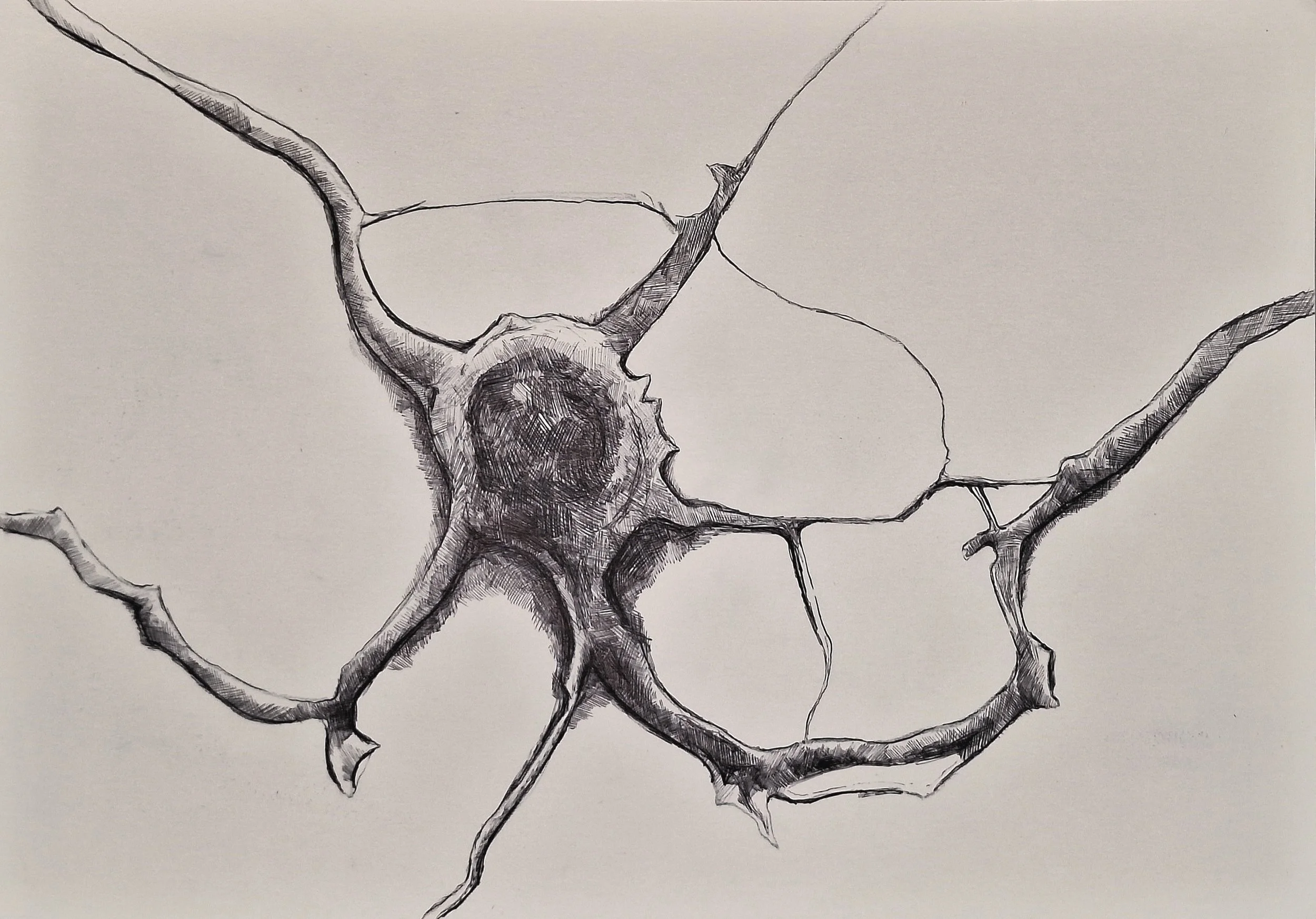 PATHWAY I | Pen on Paper | 20.9 x 29.7 cm | £110