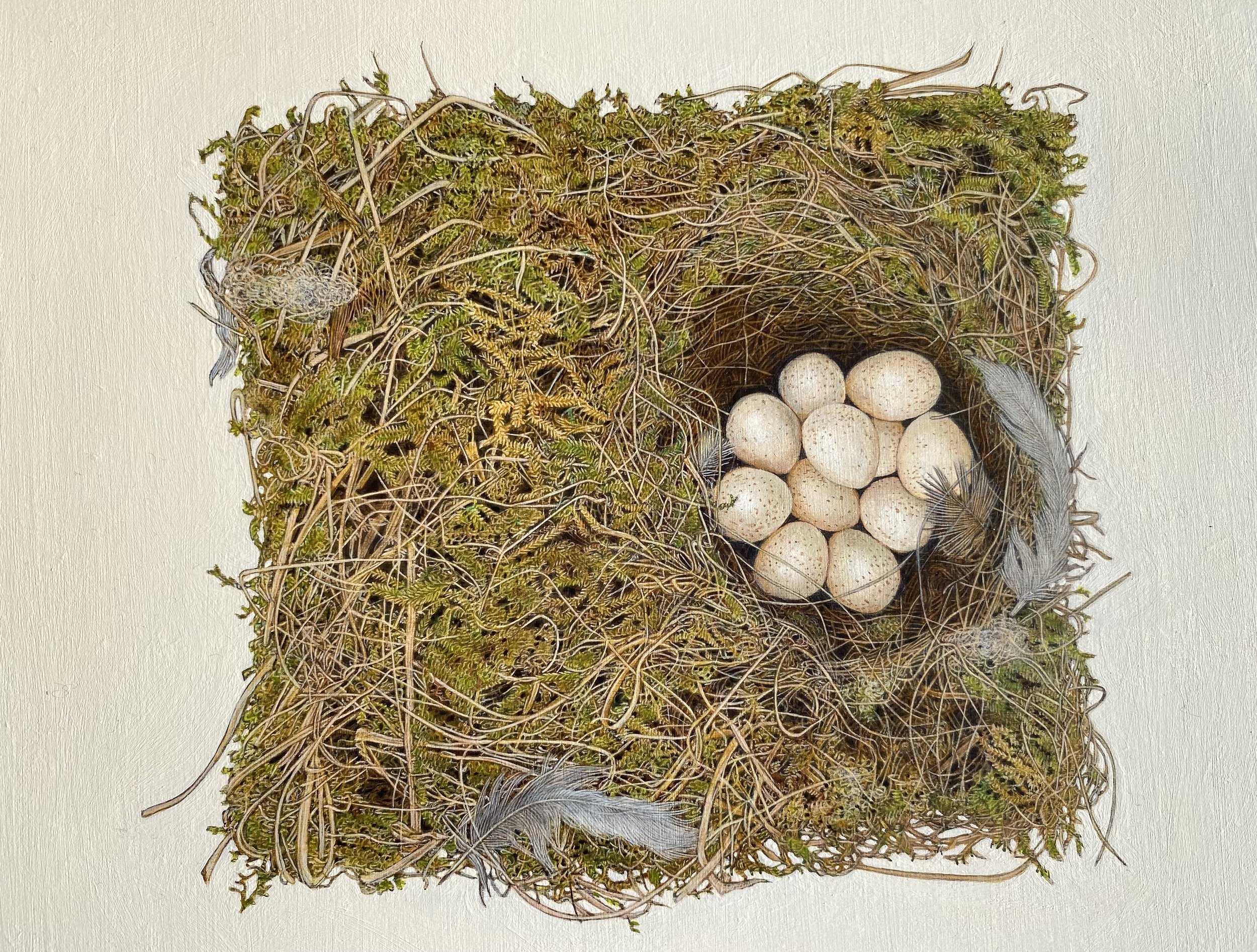 ABANDONED NEST by Christopher James