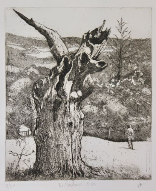 Tony Anderson, An ancient Oak., 75611.jpg