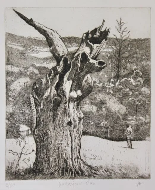 AN ANCIENT OAK by Tony Anderson