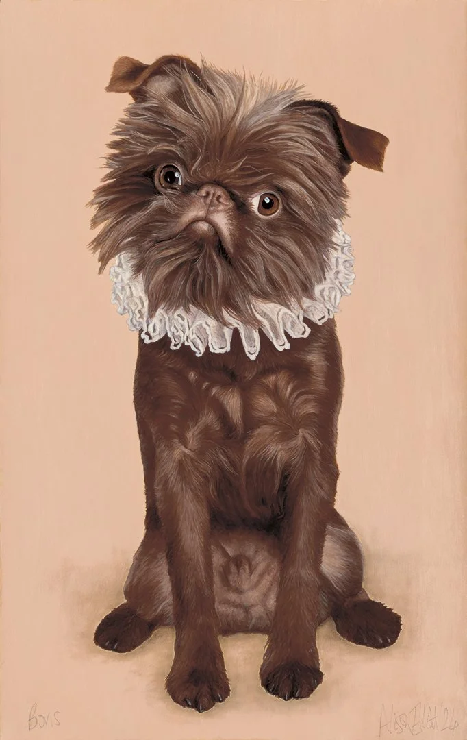 BORIS WITH FRILL by Alison Elliott