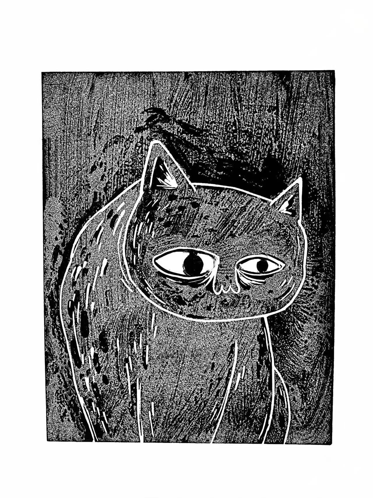 🔴 CAT by Tianxi Wang