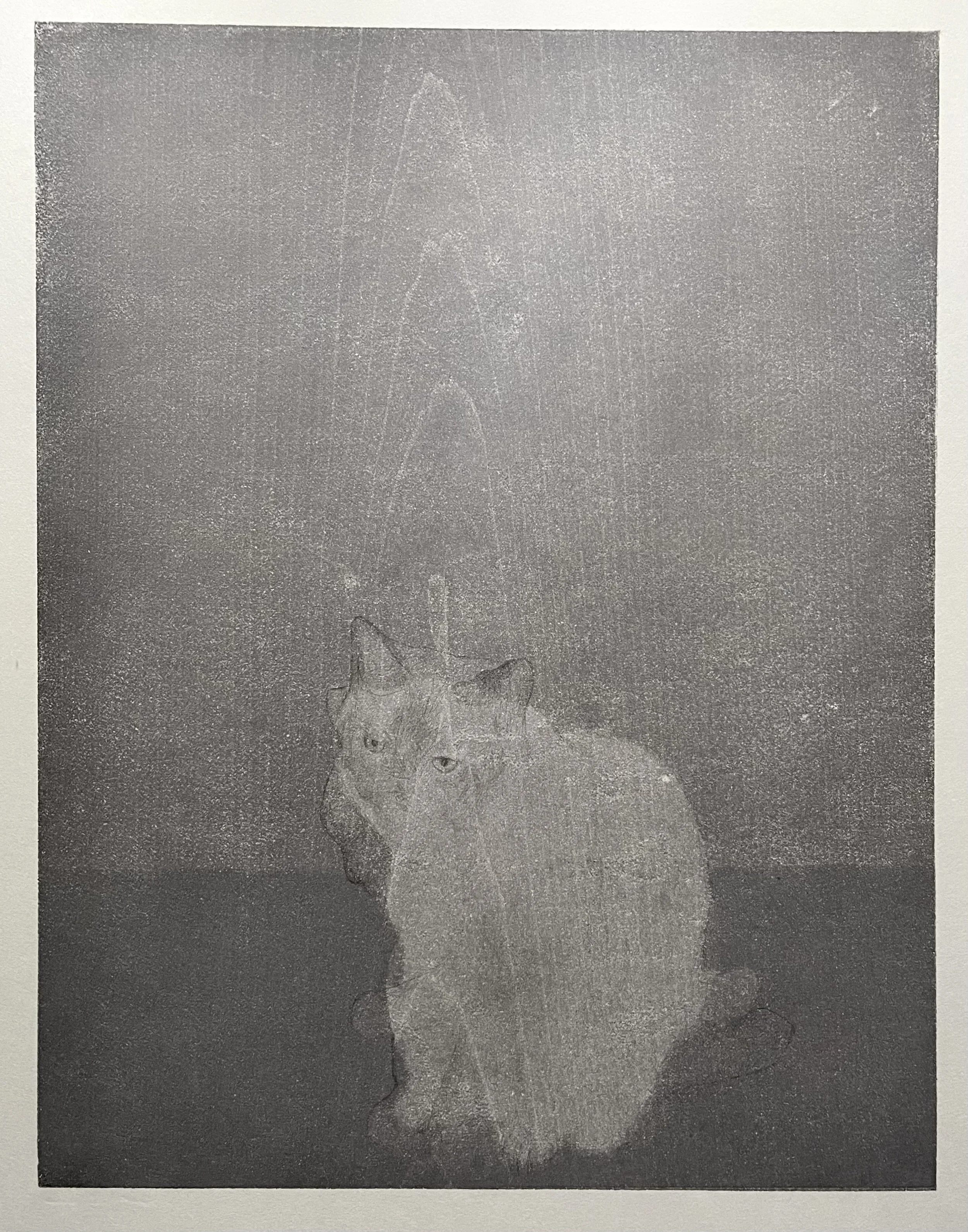DOMESTIC CAT (WASHING) by Lee Hardman