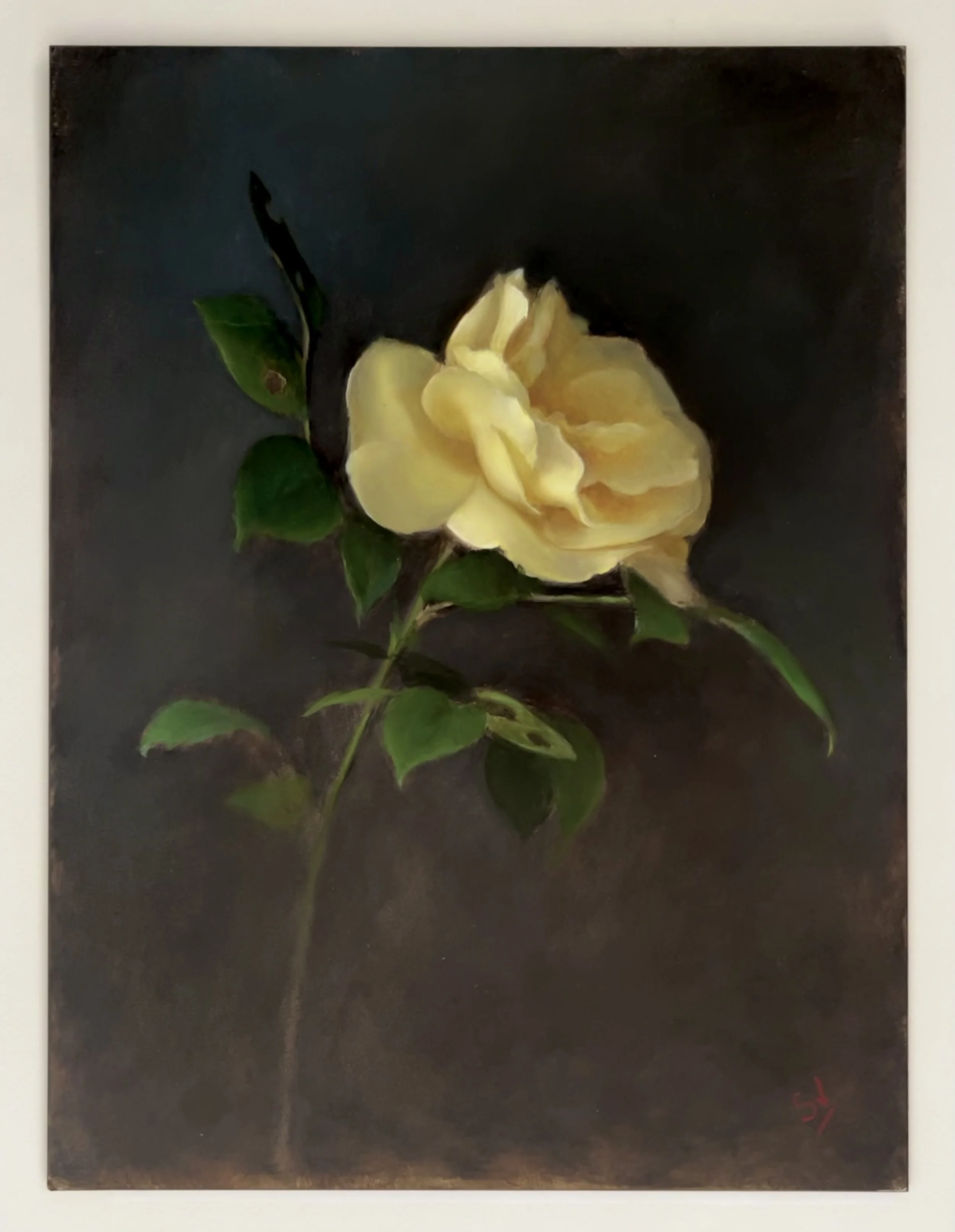 HELD BY LIGHT by Svetlana Semenova&nbsp;