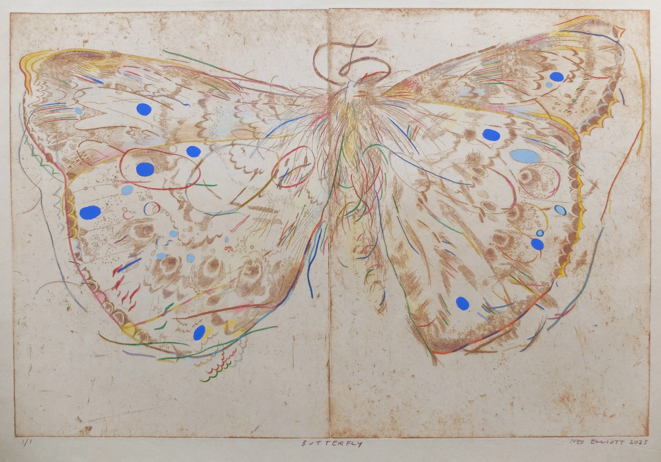 Edward Elliott, Technicolour Butterfly, 76189.jpg