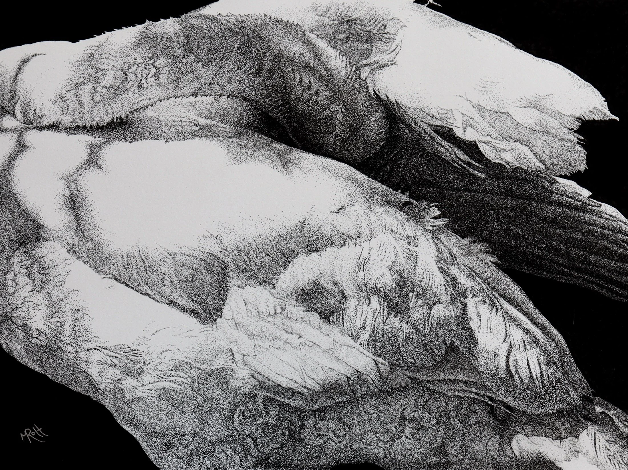 Martin Rolt, The Swan_ Stop the World, 75799.jpg