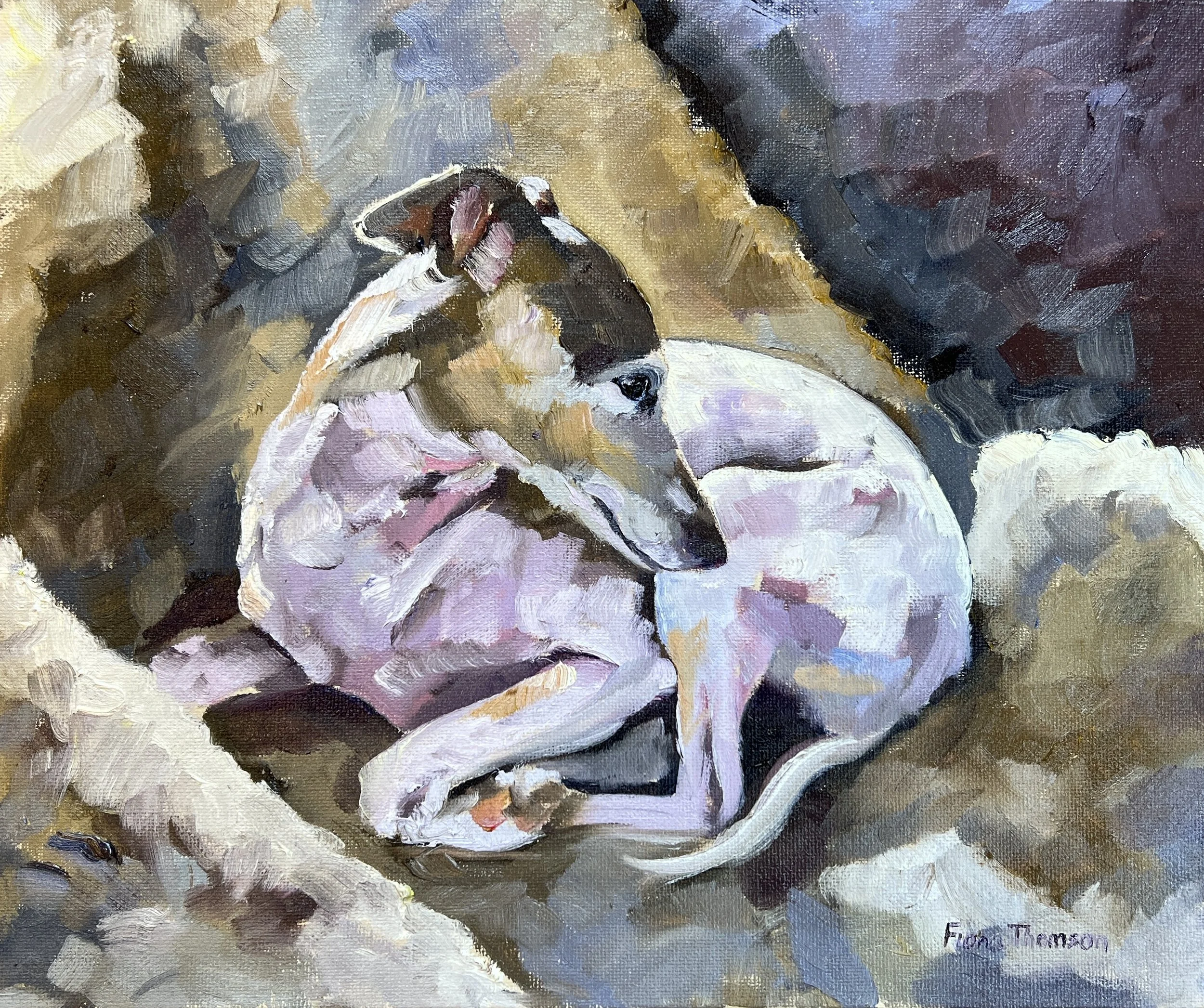 Fiona Thomson, ‘White Dog in the Sun’, 75636.jpg