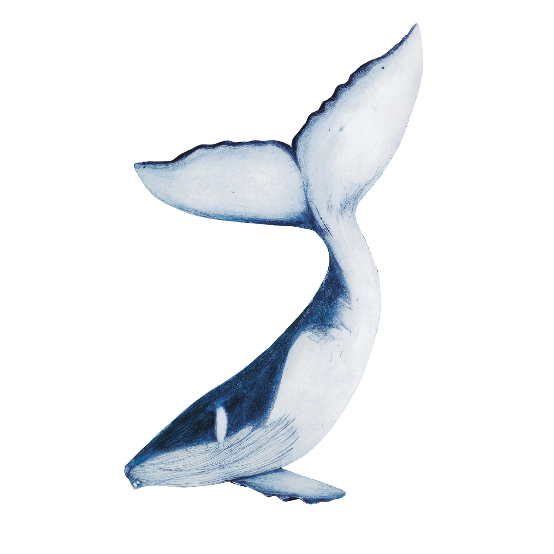 HUMPBACK WHALE